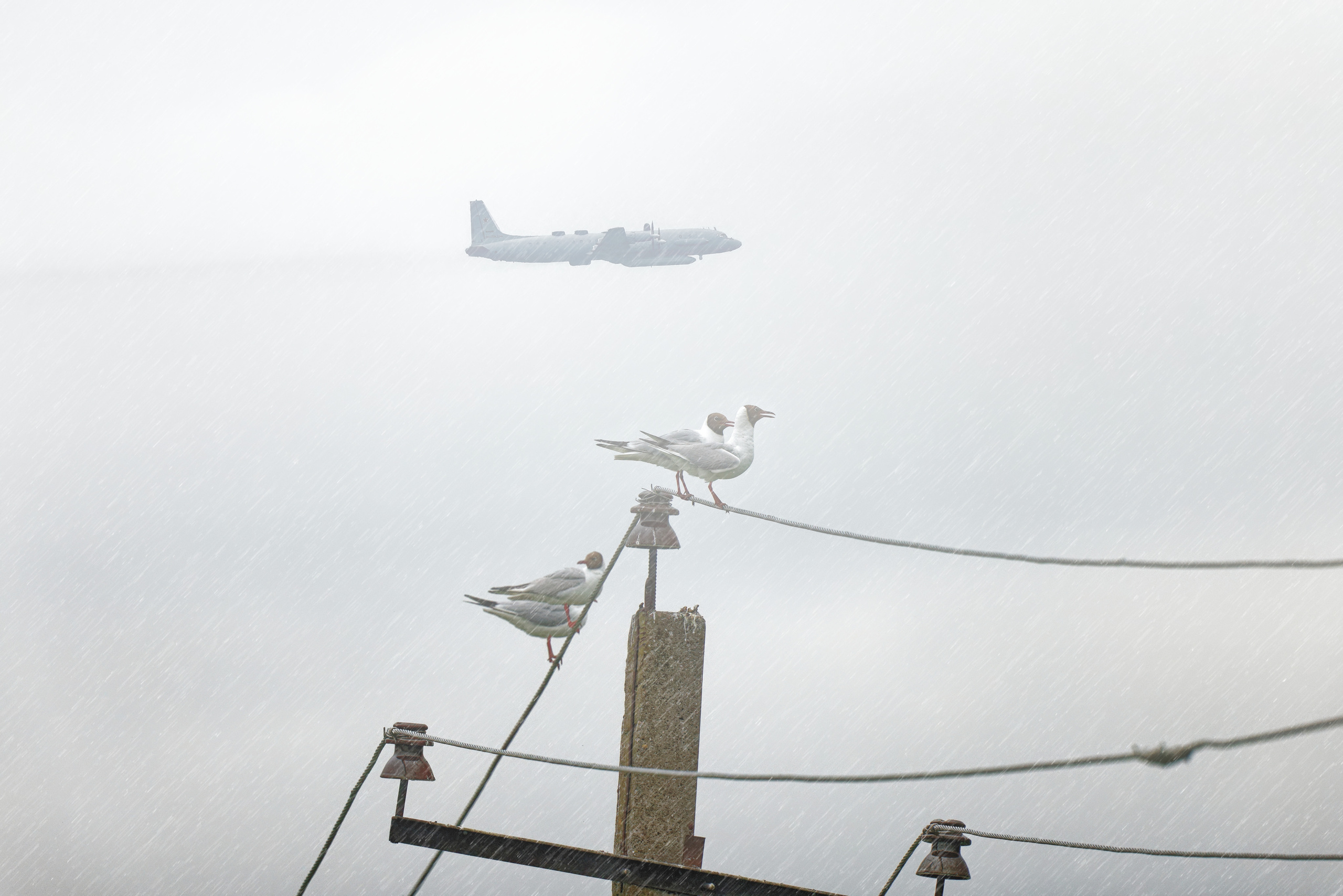 ВСЕПОГОДНЫЕ