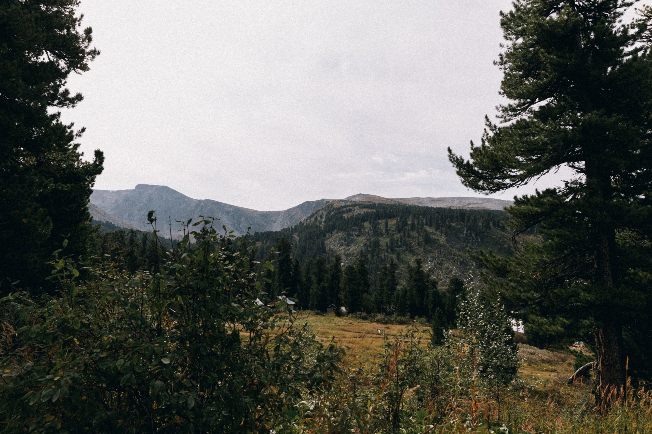 Алтай, природа и эстетика. Александр Чернин. Семейный и событийный фотограф