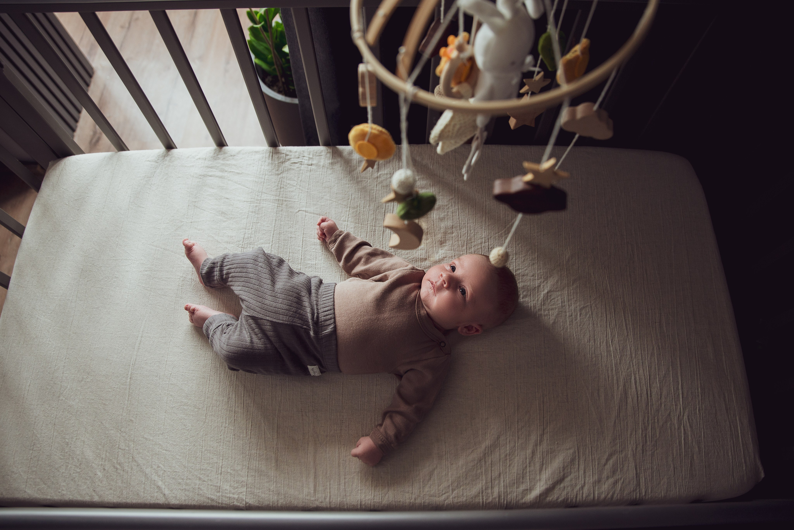 Леон. Фотограф новорожденных Екатеринбург, Первоуральск