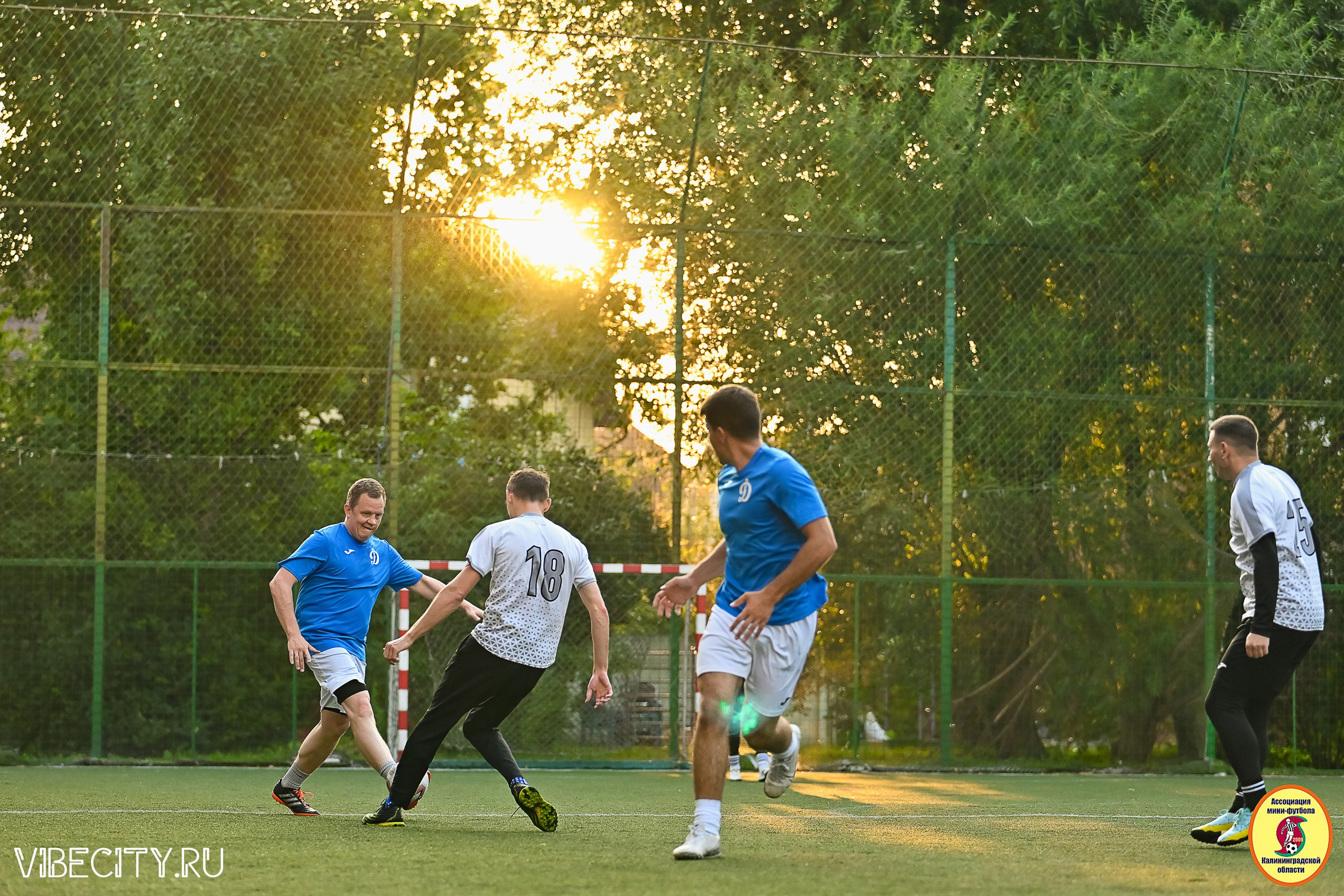 ИГРЫ ПЛЕЙ-ОФФ ПЕРВОГО ДИВИЗИОНА МИНИ-ФУТБОЛЬНОЙ ЛИГИ. VIBECITY.RU Вайб Сити Ру Фоторепортажи Фотоотчеты Калининград