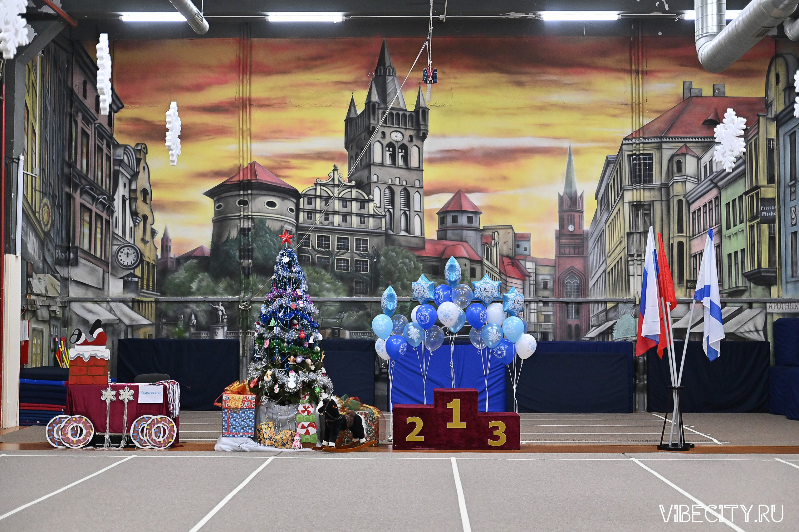 Контрольная тренировка по спортивной гимнастике. VIBECITY.RU Вайб Сити Ру Фоторепортажи Фотоотчеты Калининград