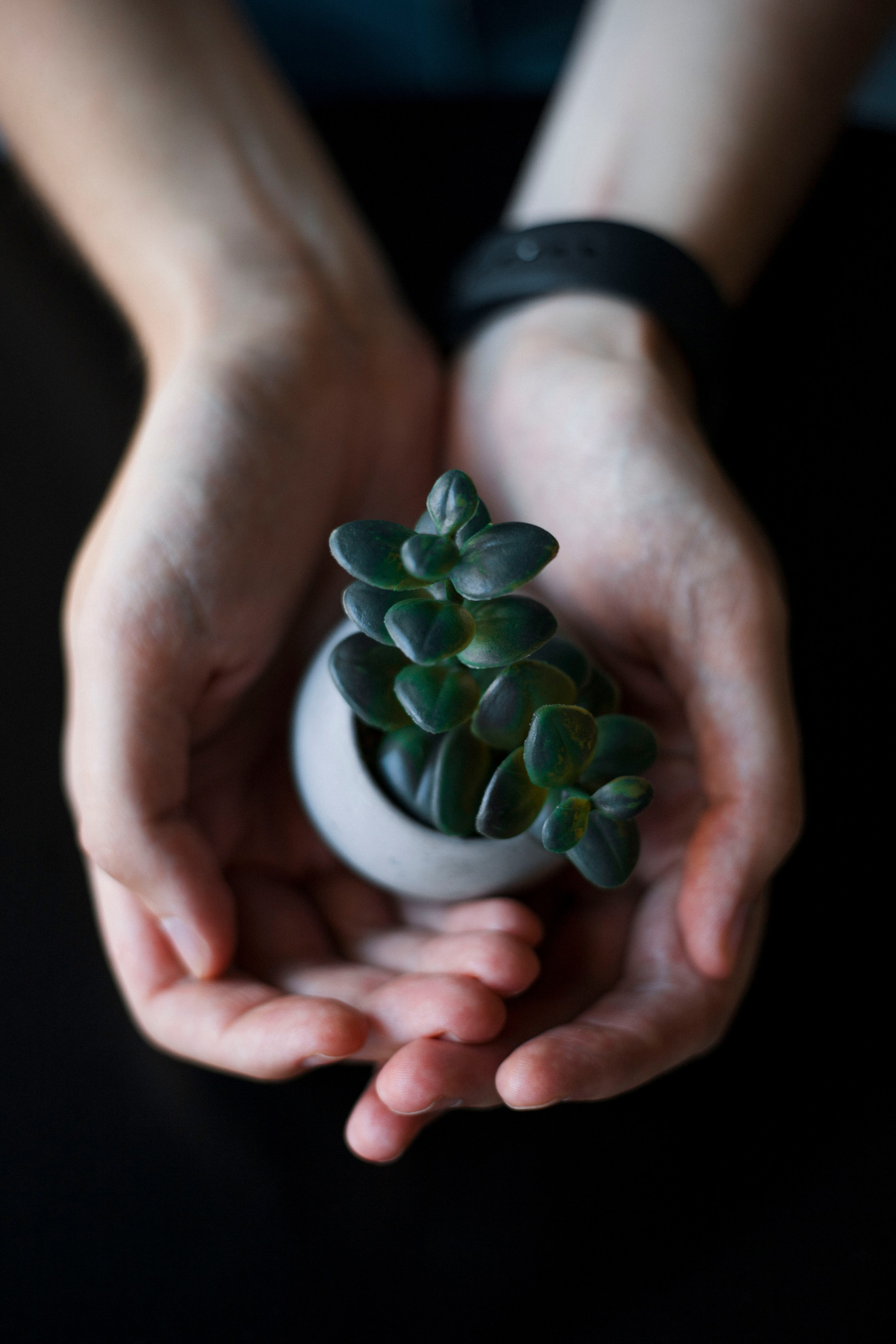 Vladimir. Photographer in Montenegro Tatiana Talaeva