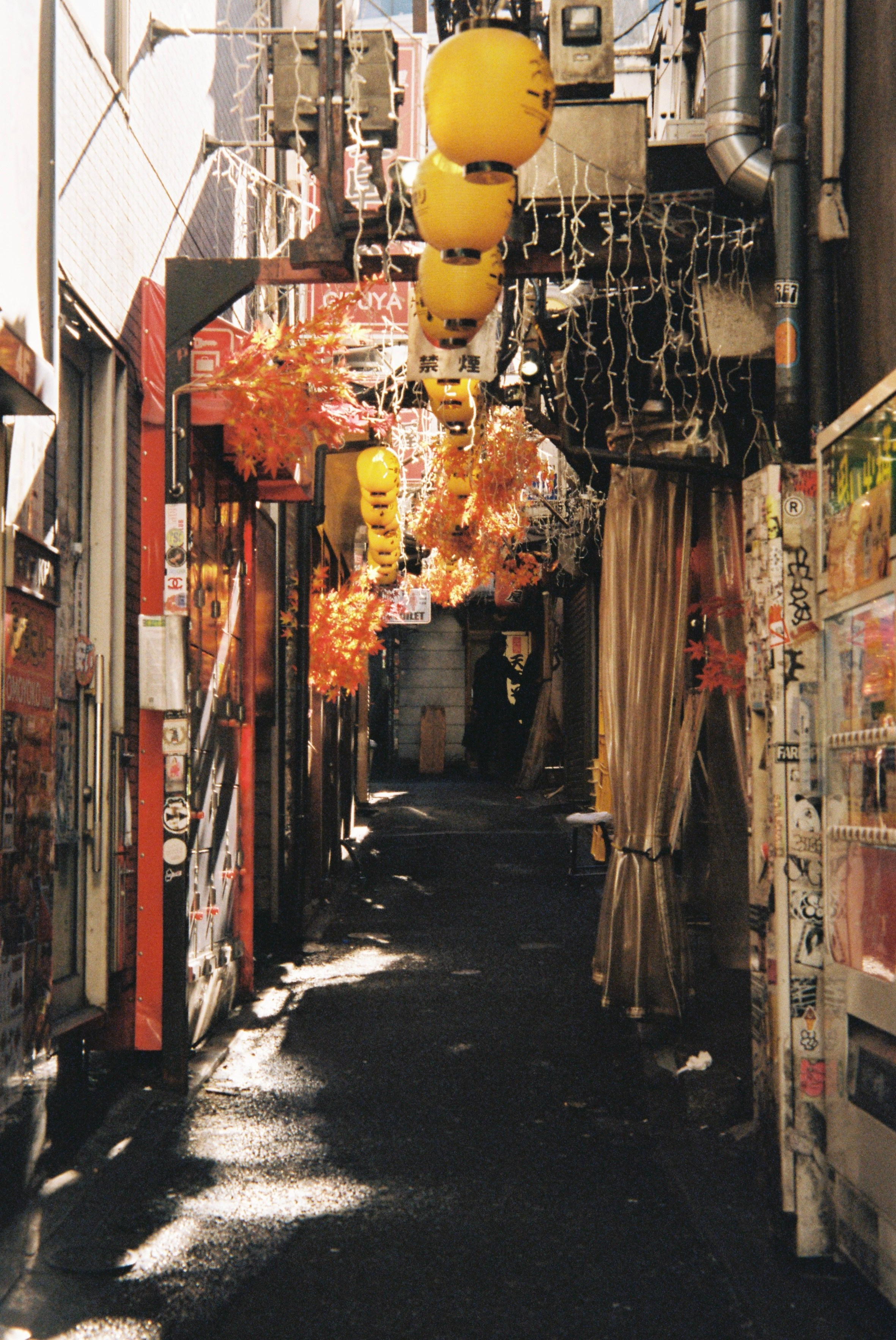 Пленка. Фотограф Алина Диева Москва | Токио