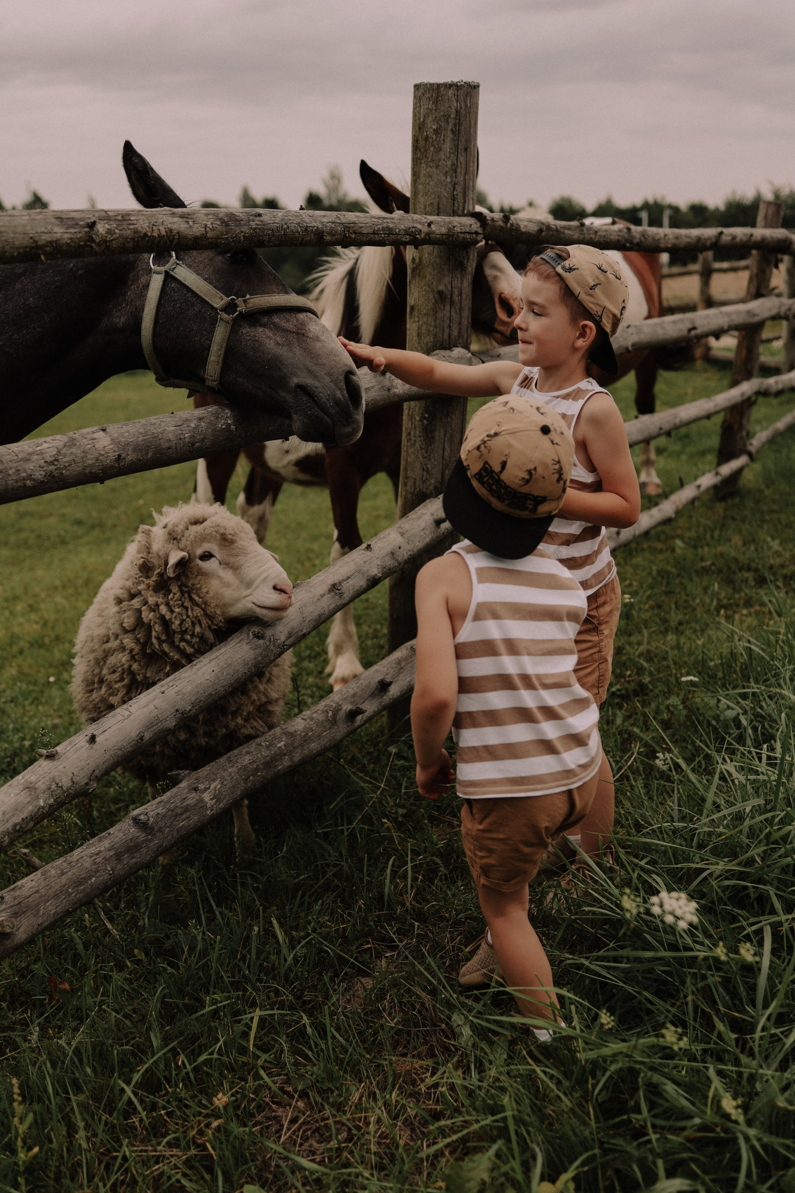 Семейная. Photographer Oseiko Nadezhda