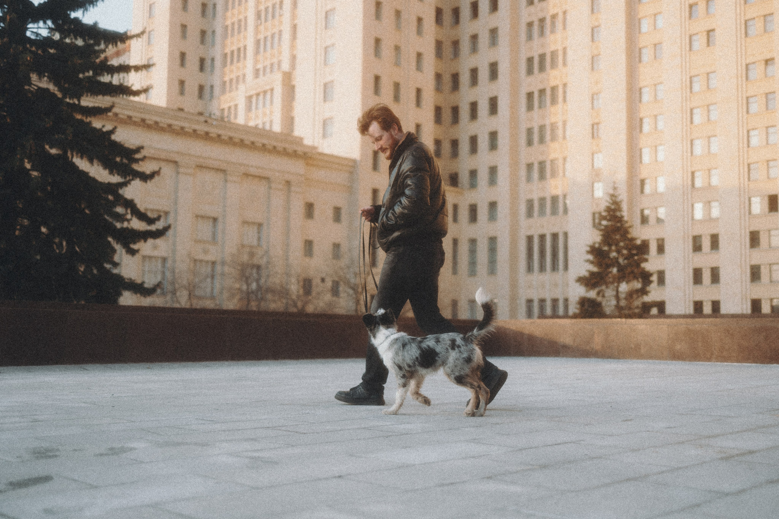 Балу и Илья. Фотограф анималист Анастасия Пикей