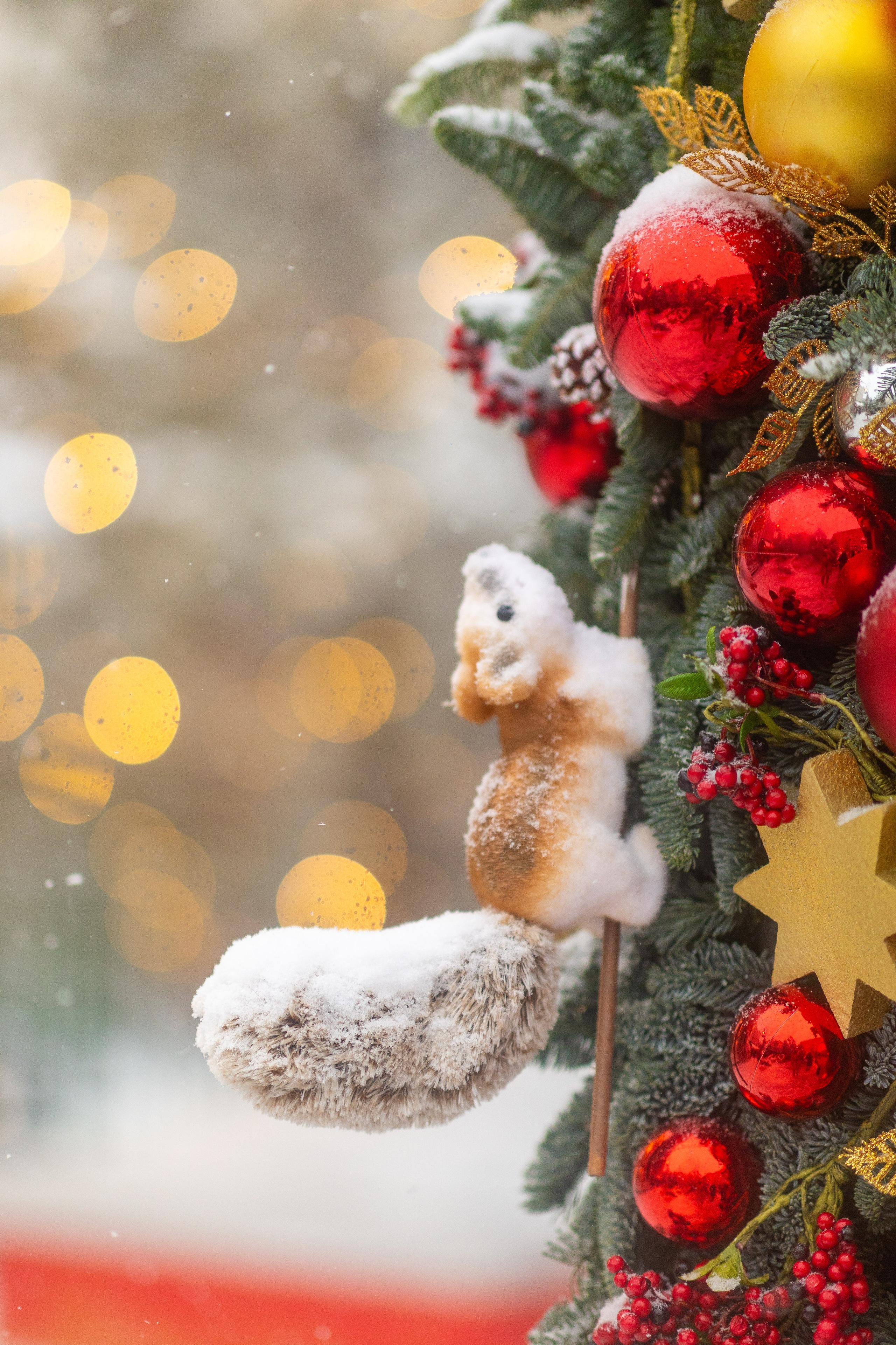 Даша, прогулка по Москве. Фото и видео Москва, Московский. Свадебный фотограф, видеограф, фотосессии, видеосъемка