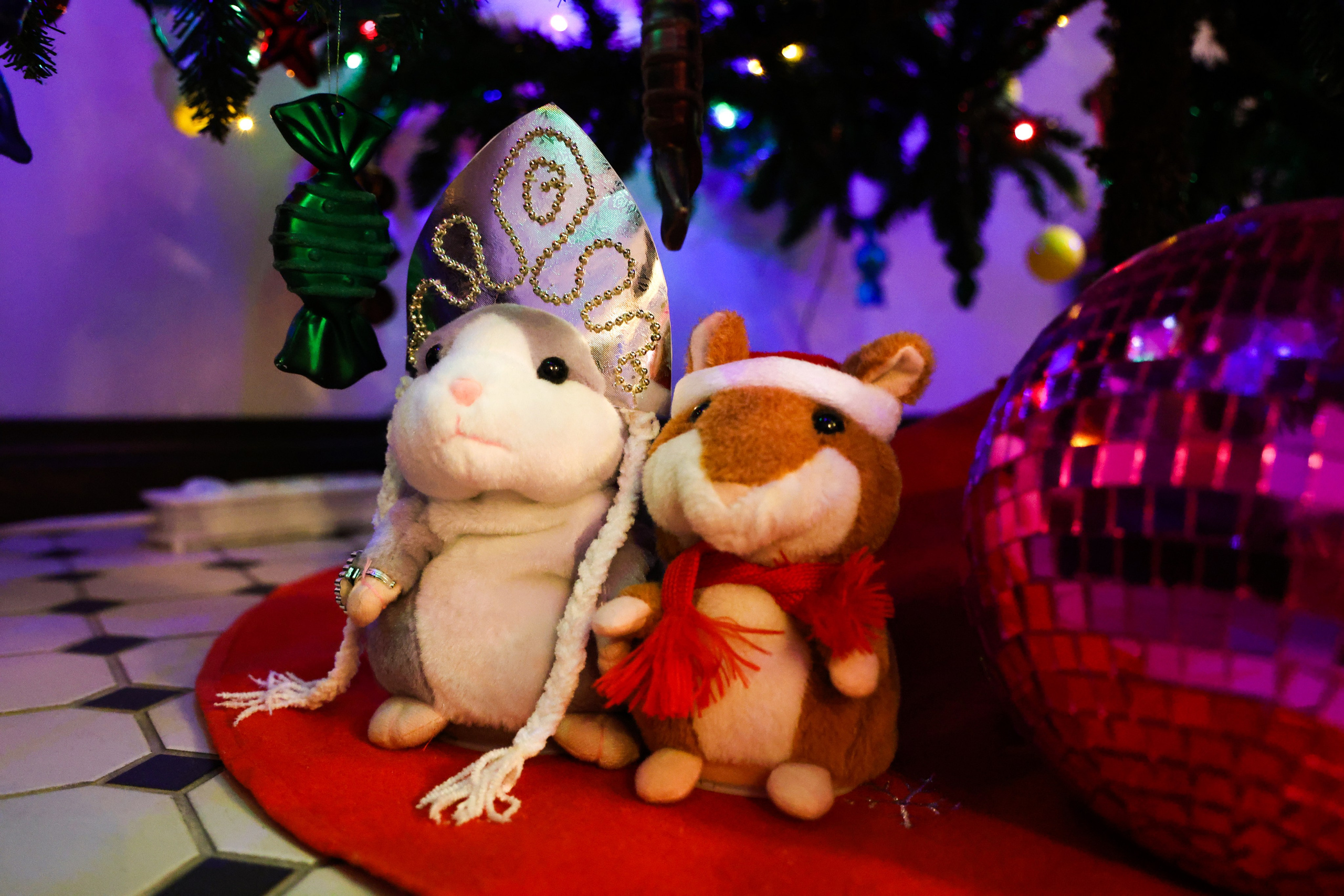 Christmas tree. Portrait photographer based in Toronto — Blinova Mariia