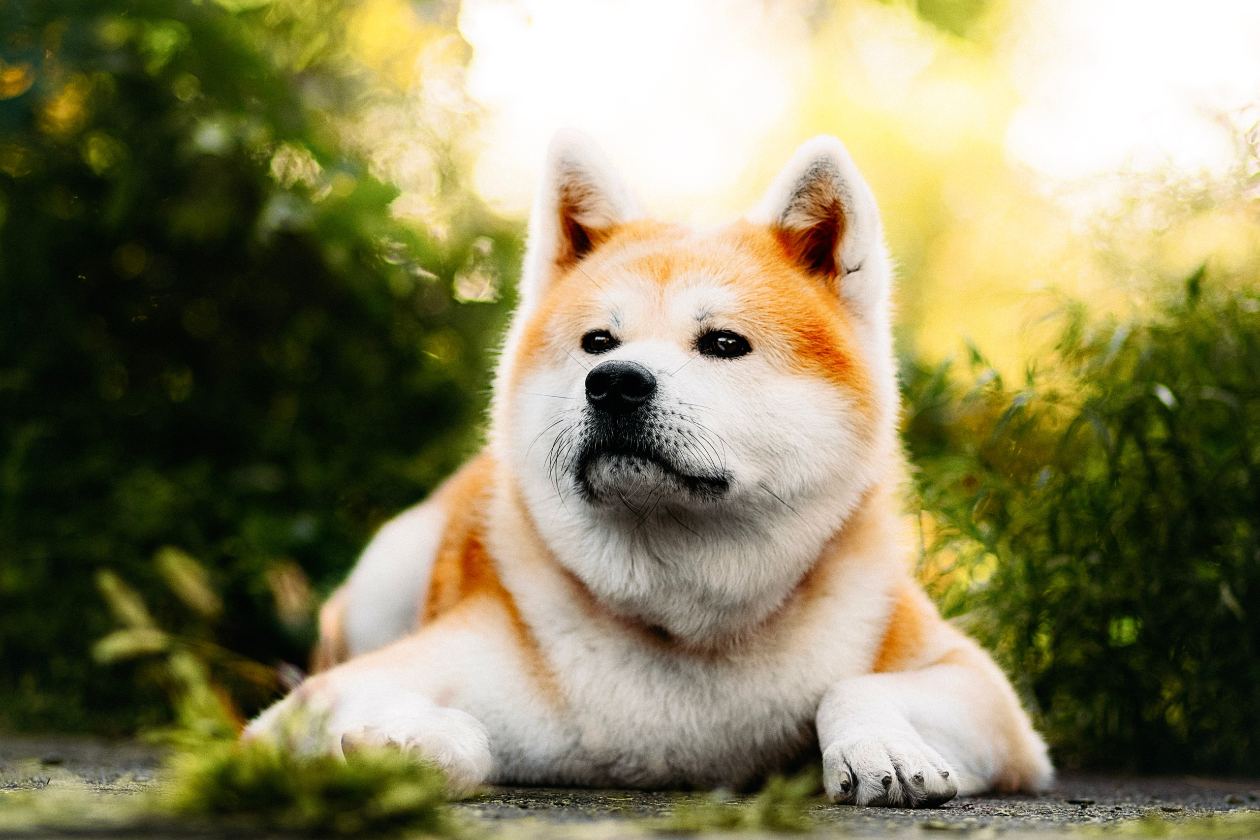 Вальтер. Фотограф в Арсеньеве