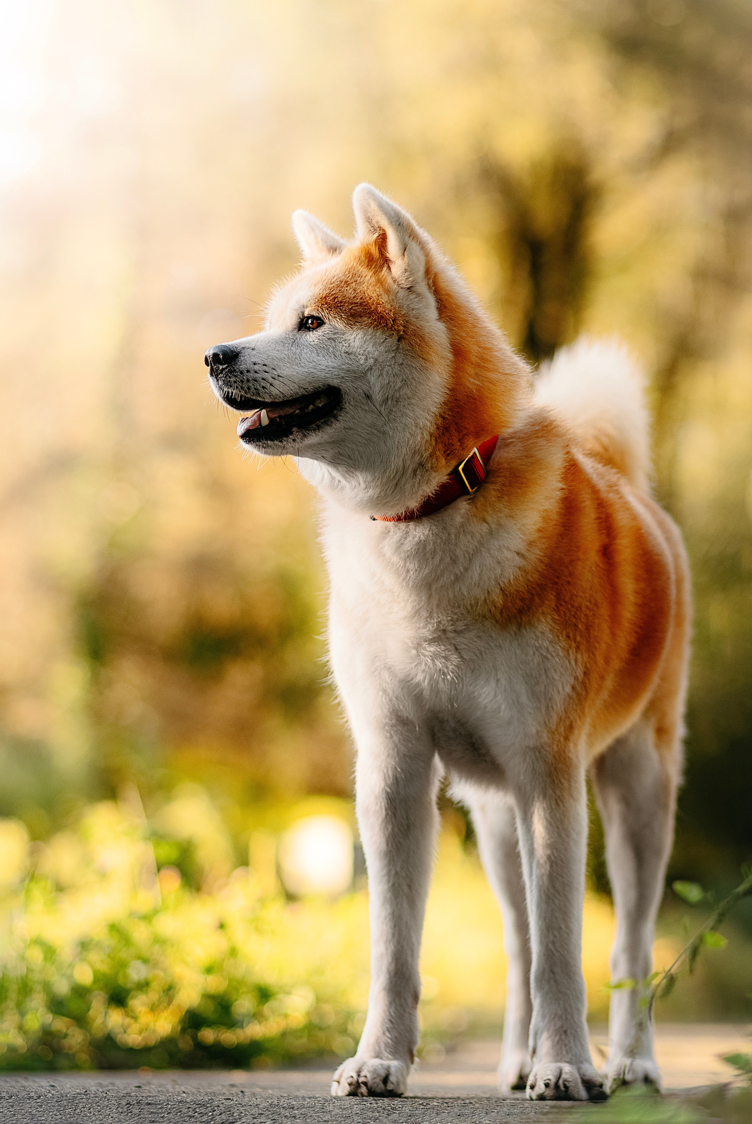 Вальтер. Фотограф в Арсеньеве
