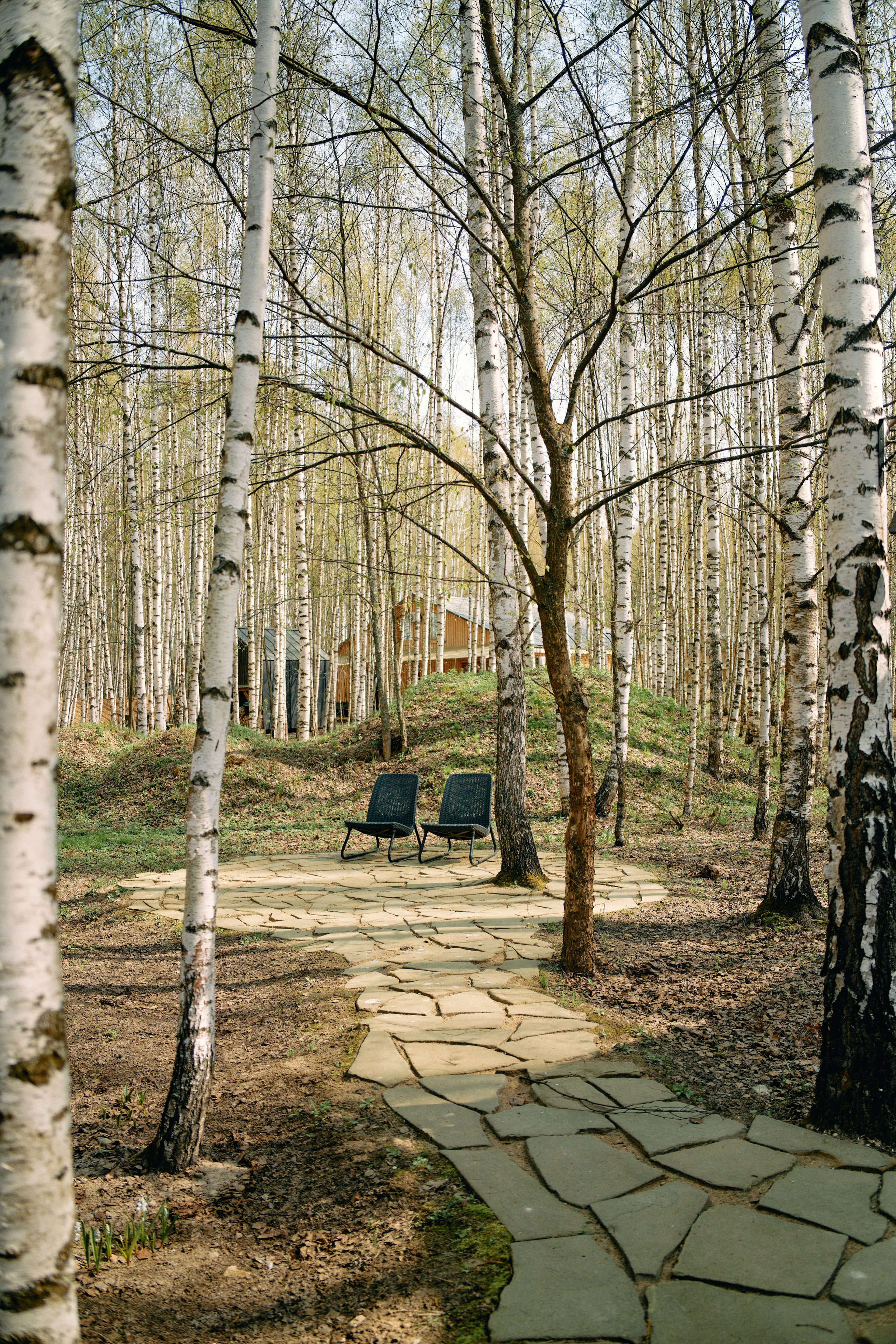 Бутик-отель Поле летом. Профессиональный Фотограф во Владимире, в Москве и в Суздале — Полина Романычева