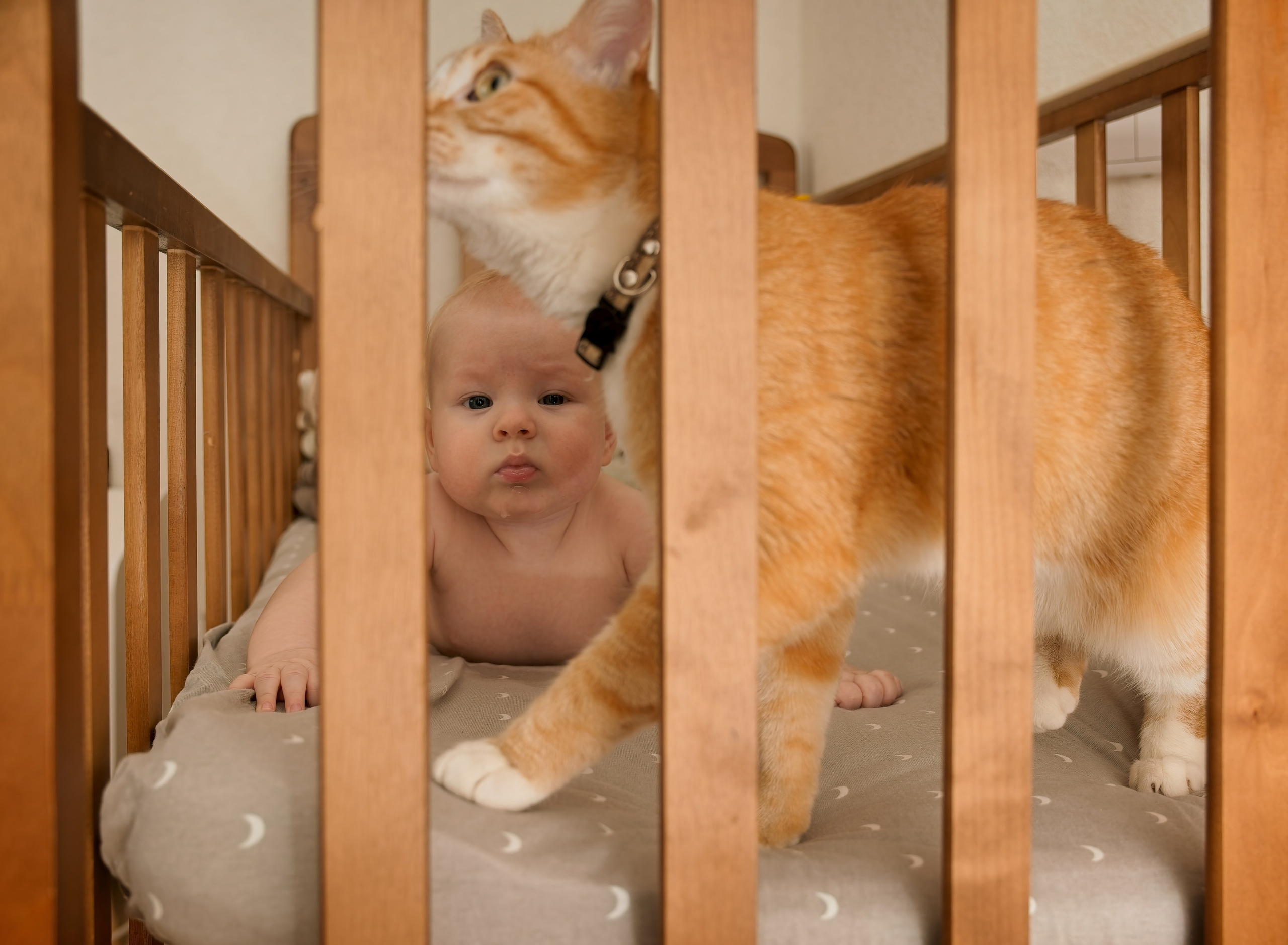 Семья. Семейный и интерьерный фотограф в Норильске и Красноярске