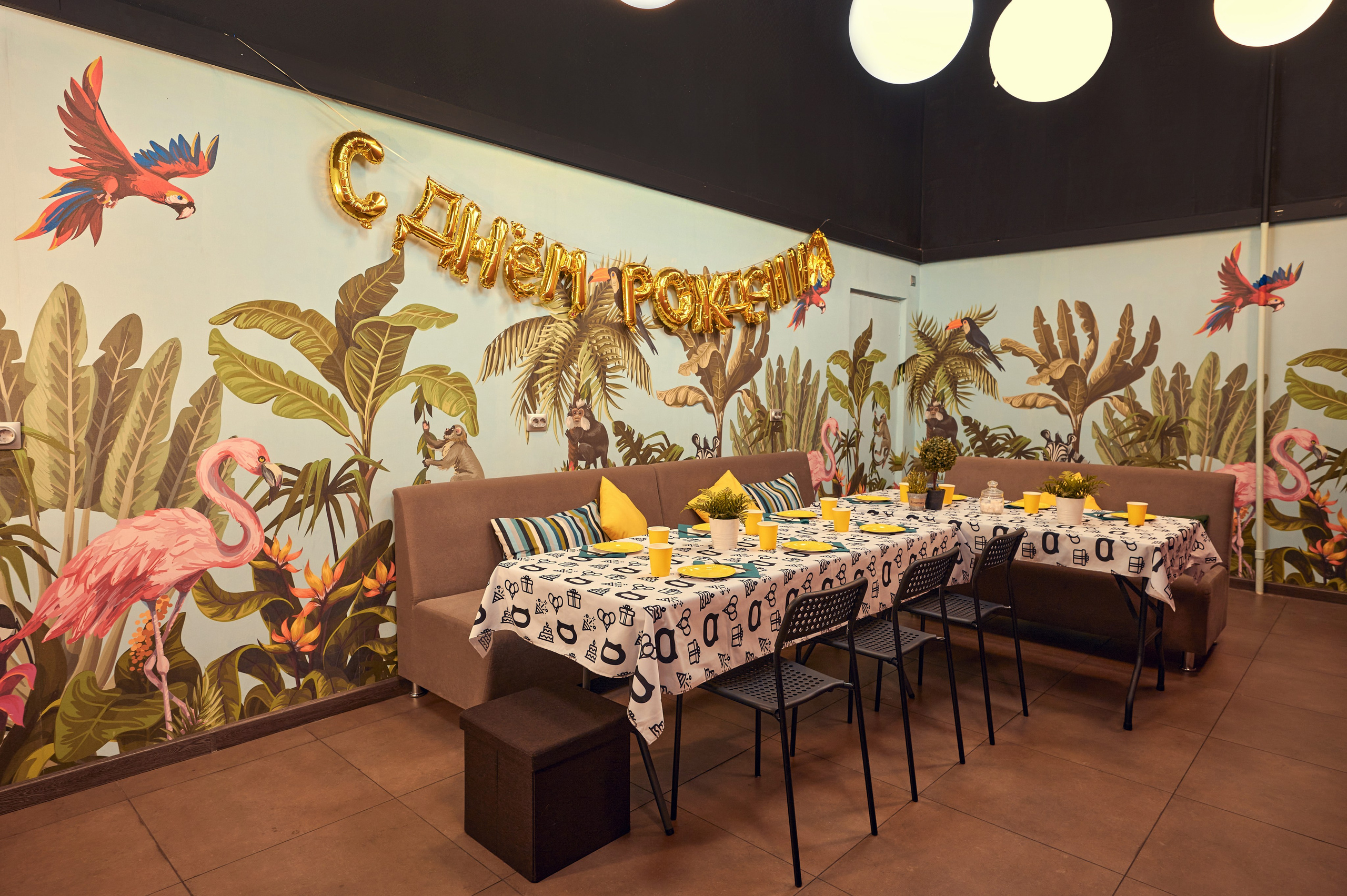 Чеширский Коd — 5 локаций. Фотограф Яковлев Роман — Красноярск