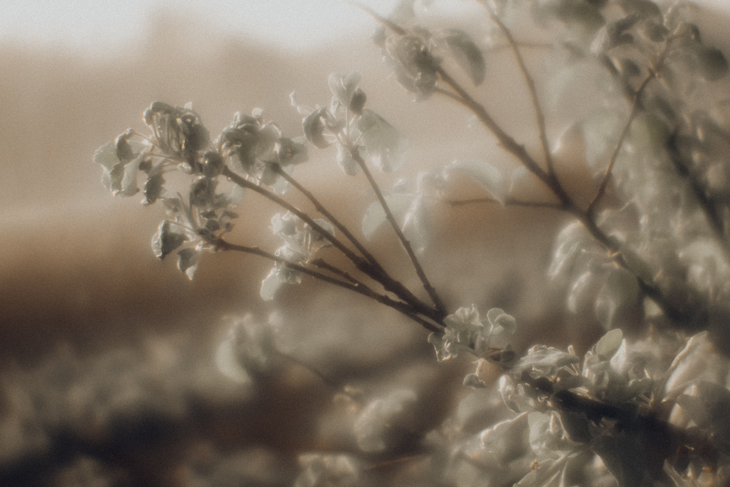 Поэзия повседневности. Семейный фотограф в Москве Марина Аргунова