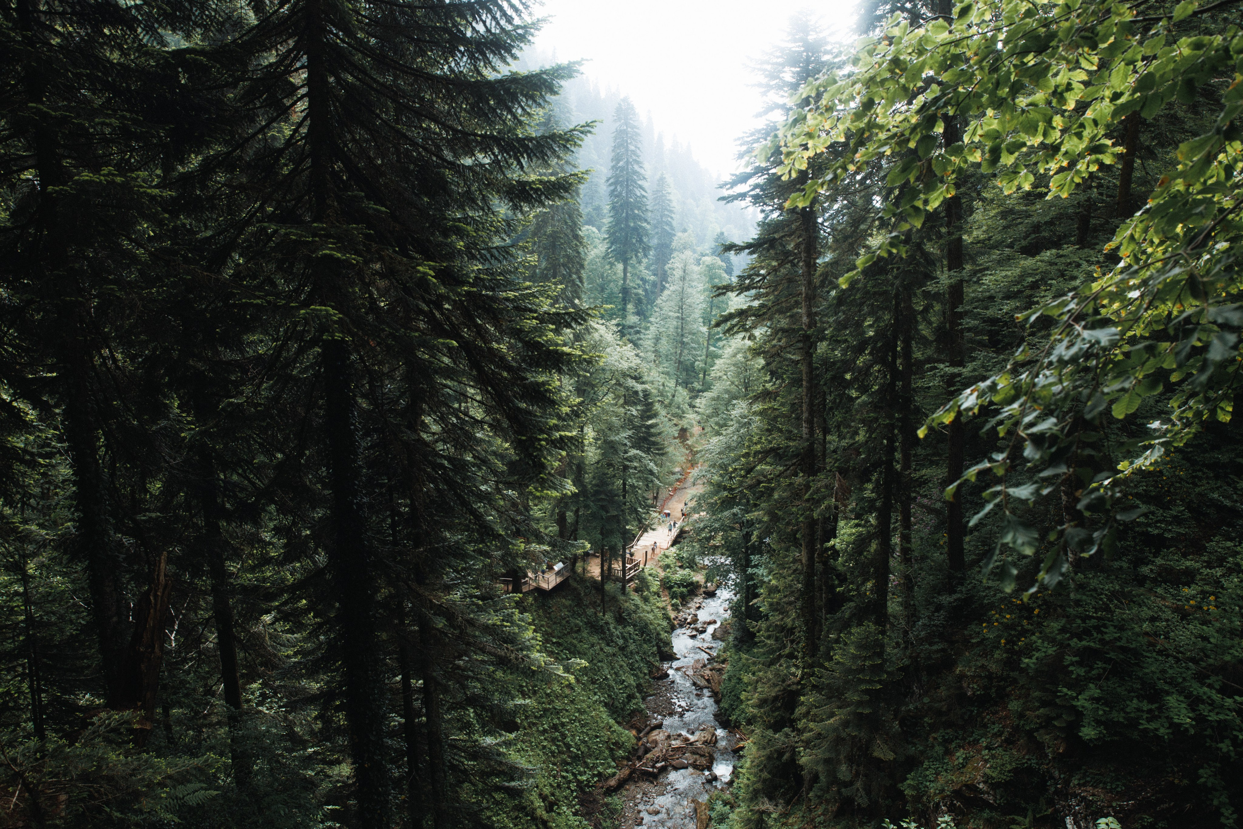 Nature. Артем Корнев Фотограф