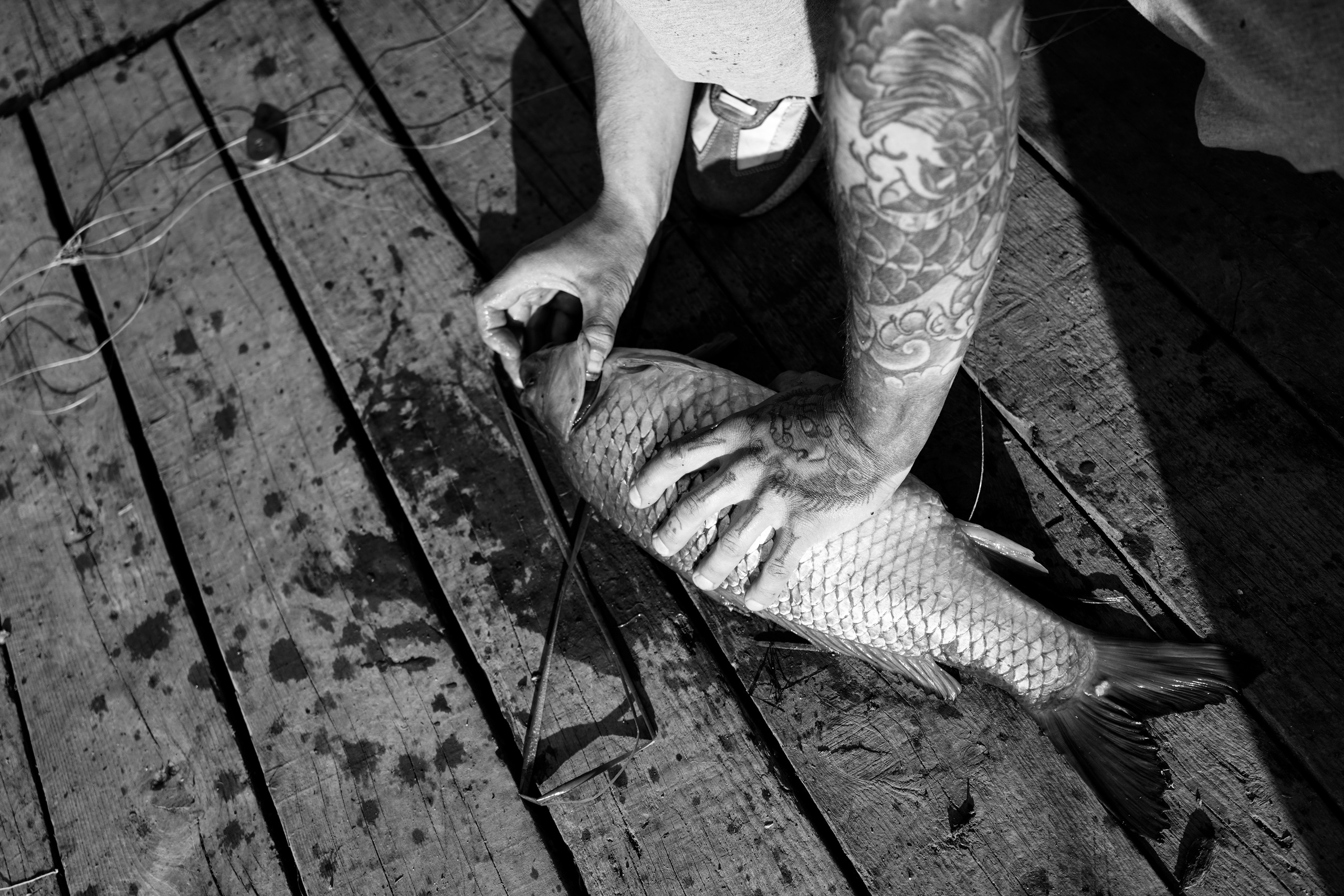 Fishing