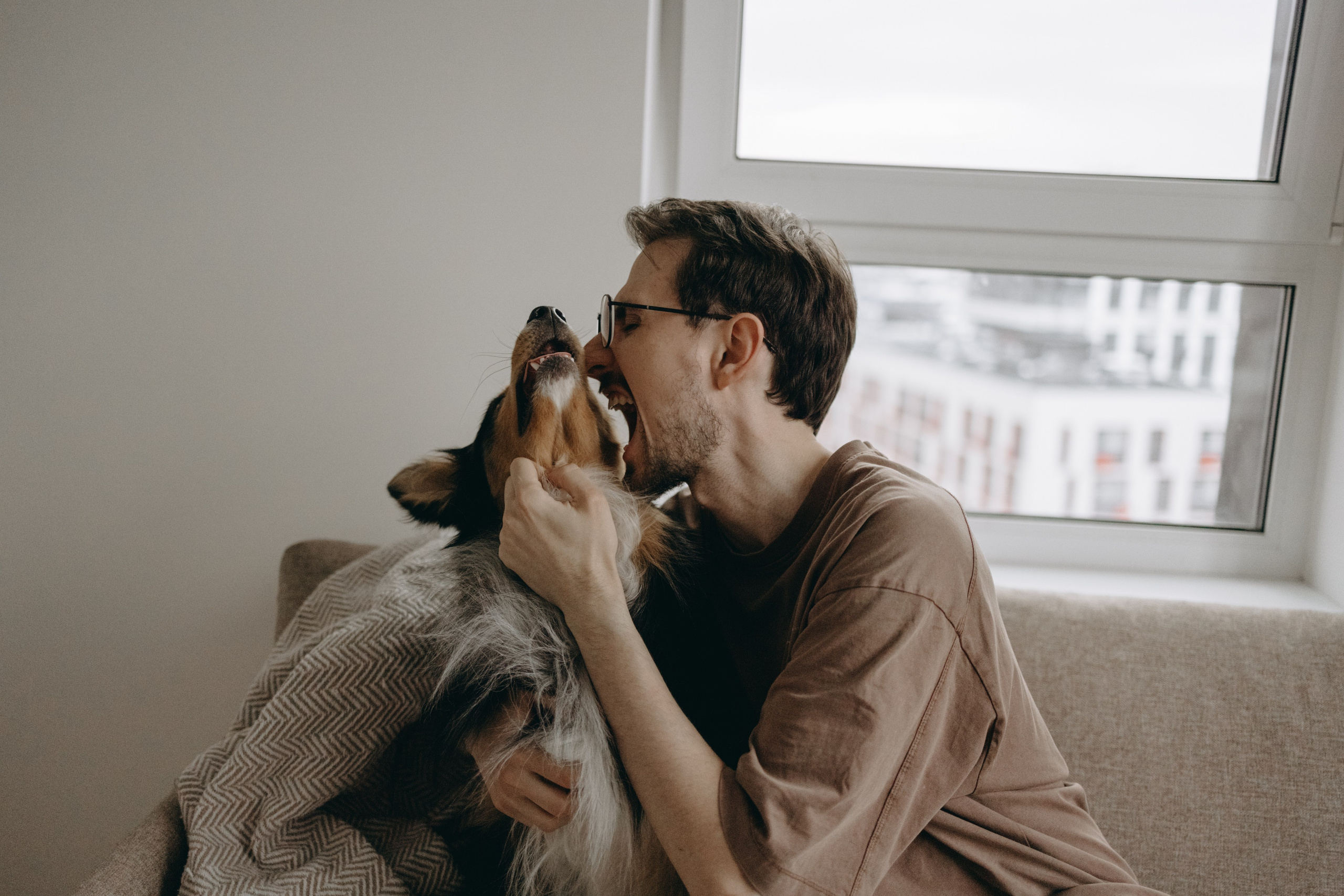 Настя, Никита и их Гром и Мяу. Фотограф — Анималист | Санкт-Петербург