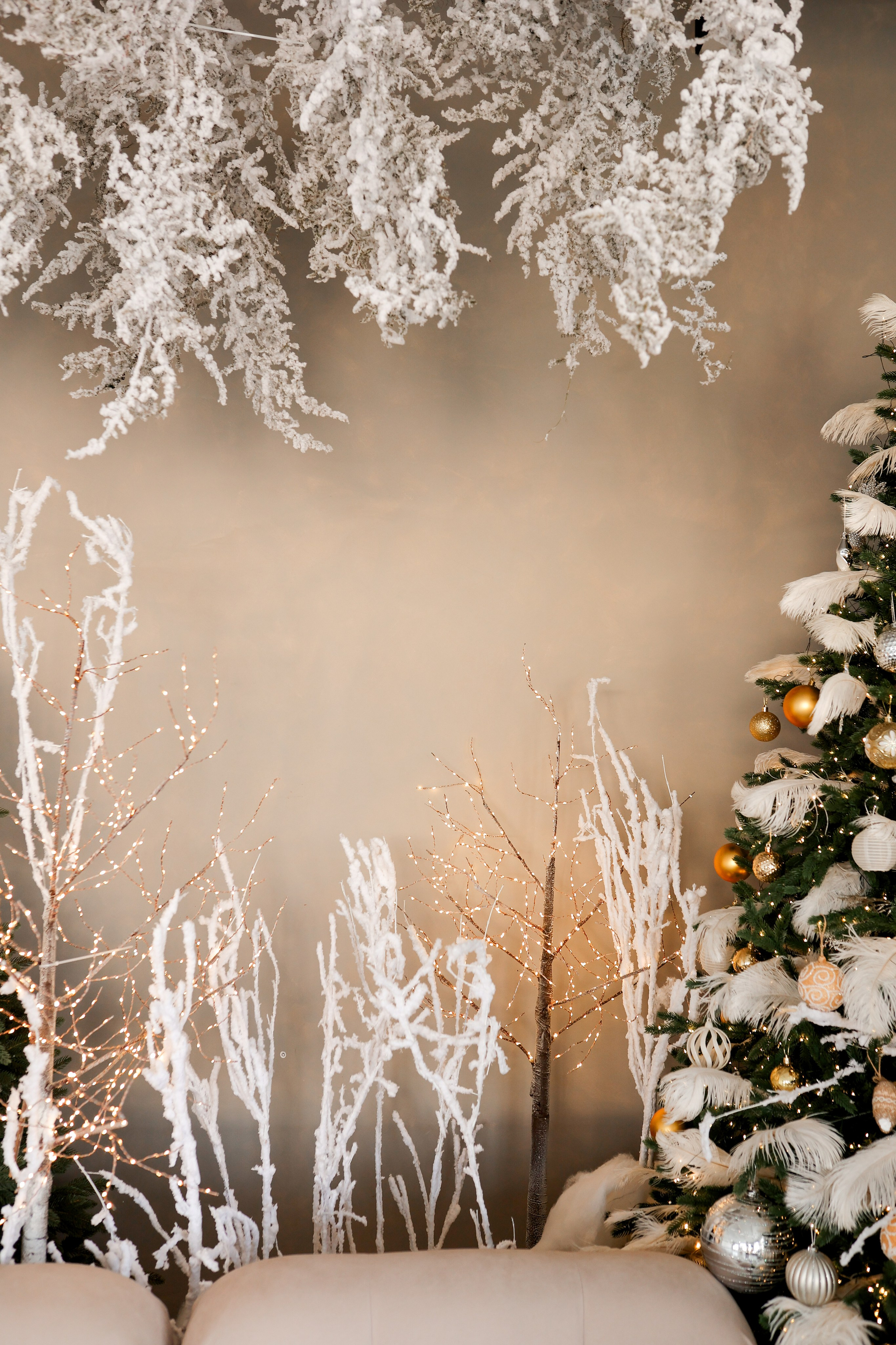 Циклорама. Фотостудия Фотодом. Якутск