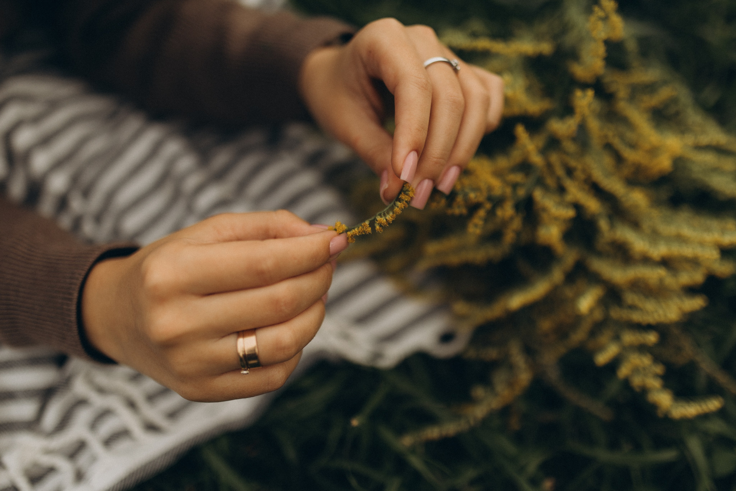 Последний летний день. Семейный фотограф в Москве и МО Маша Забудская