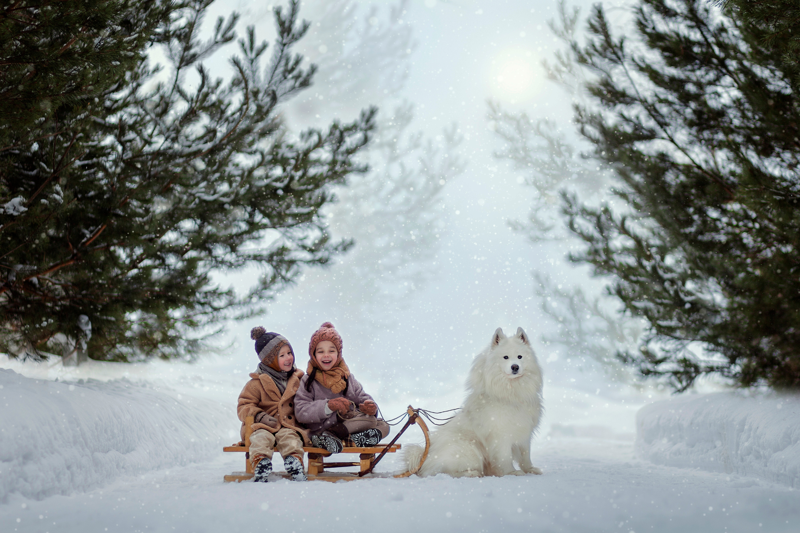 Дети. Рисую светом вашу семейную историю фотограф из Перми Александра Камене
