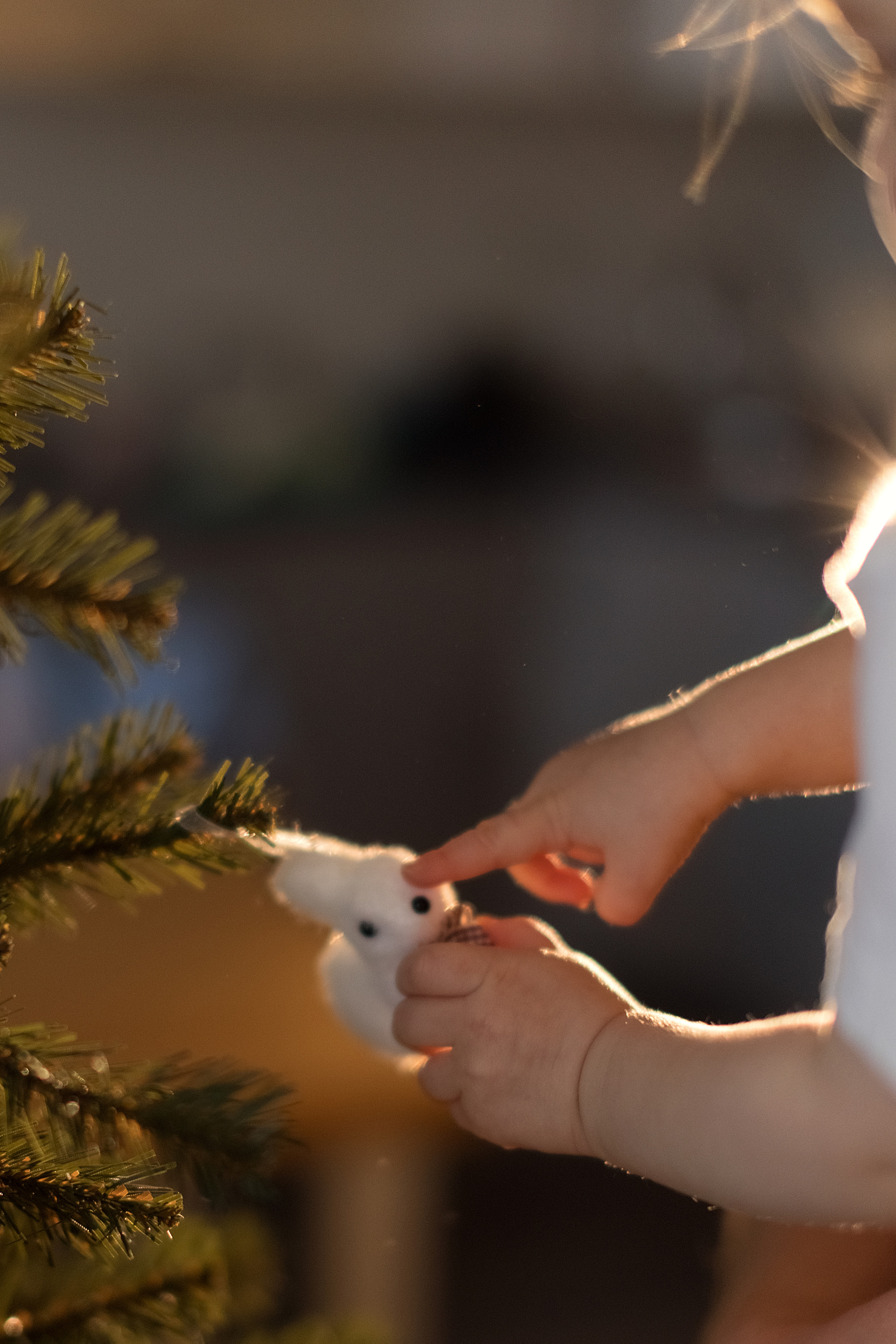 Домашние новогодние. Рисую светом вашу семейную историю фотограф из Перми Александра Камене