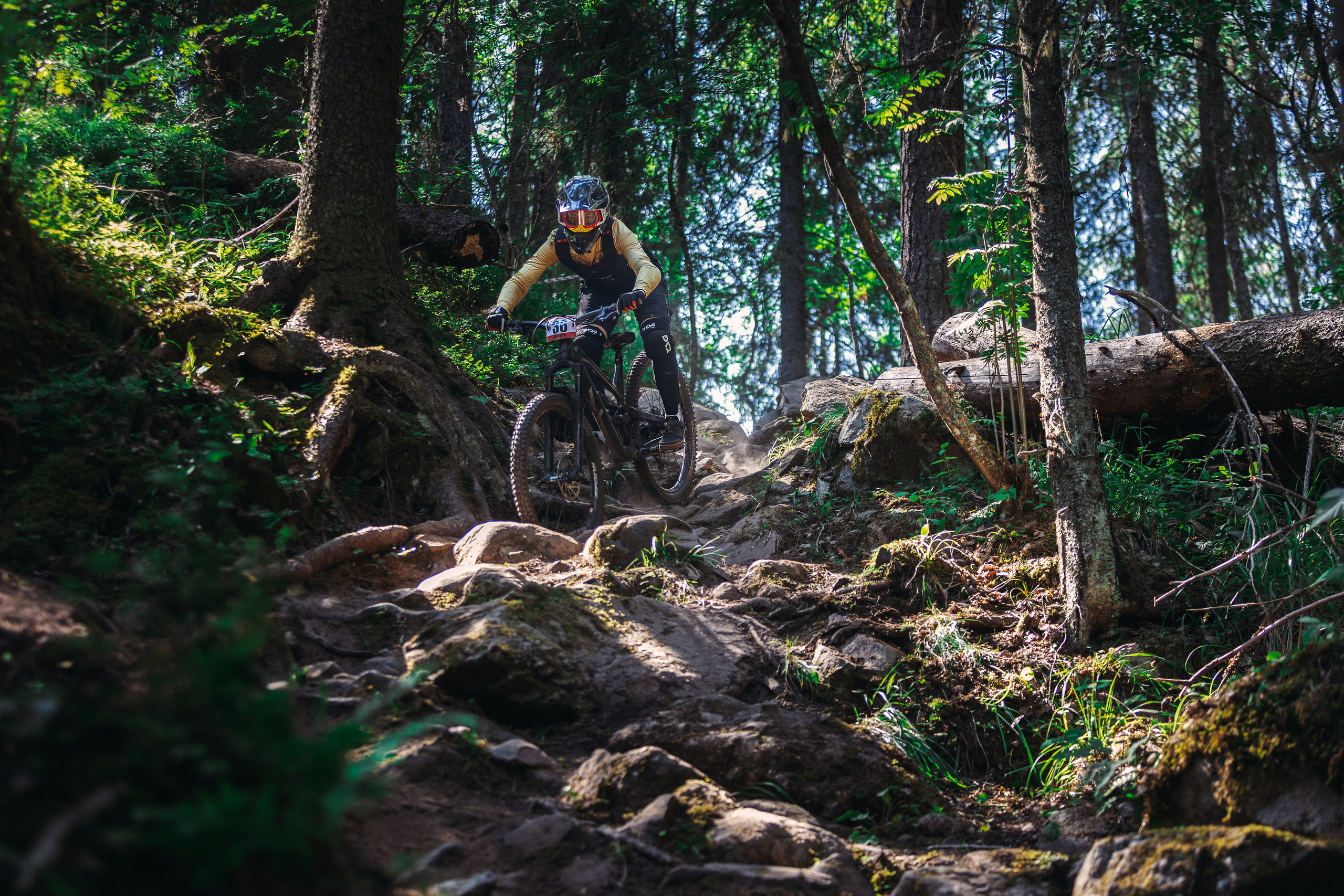 Гонка Ялгора. Фотограф анималист Никита Натальный