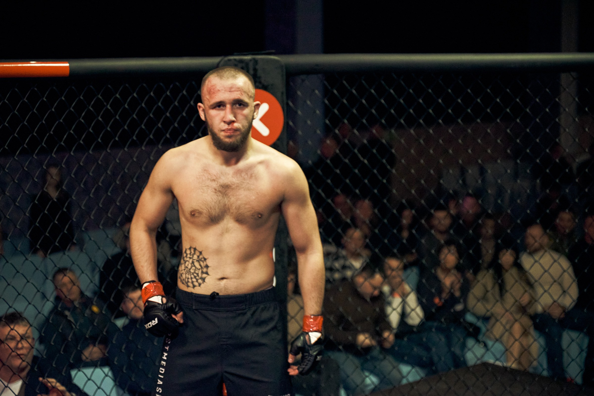 Бои. Маляревич Дмитрий свадебный фотограф