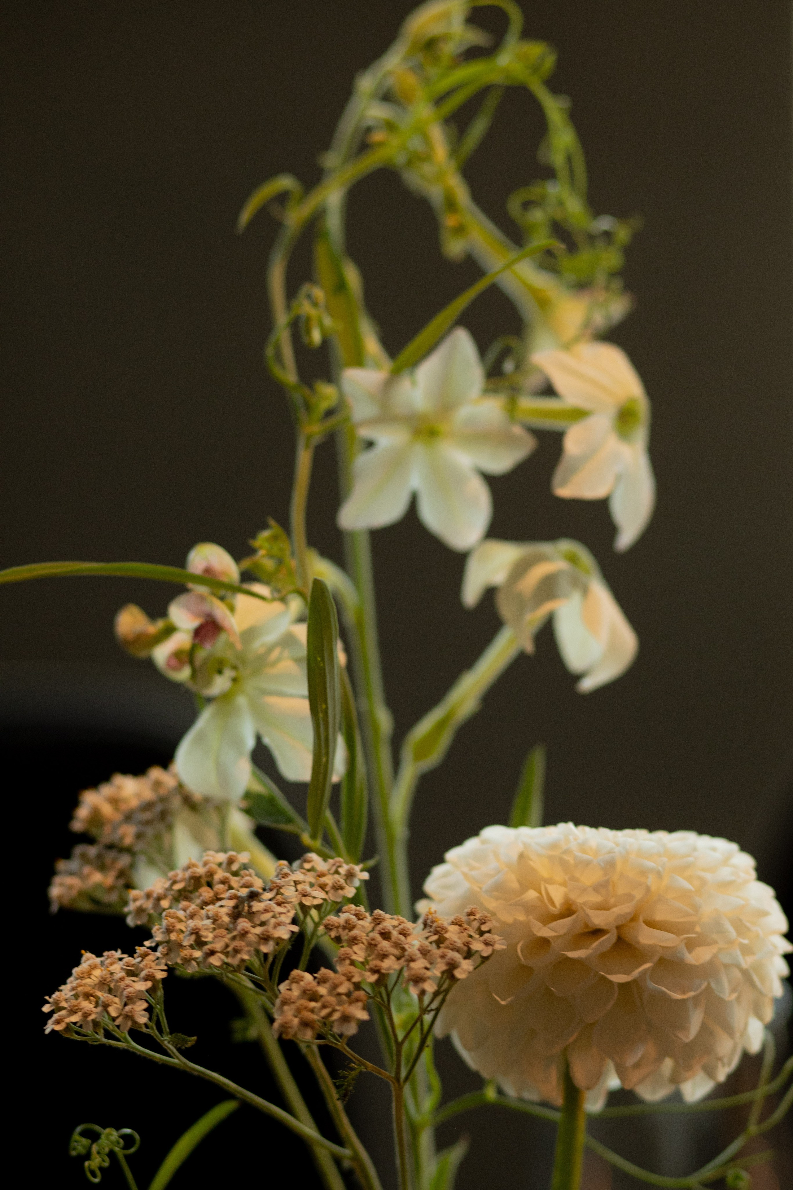 Алина & Николай. Оформление свадеб, декор свадеб Вера Маркова, Москва