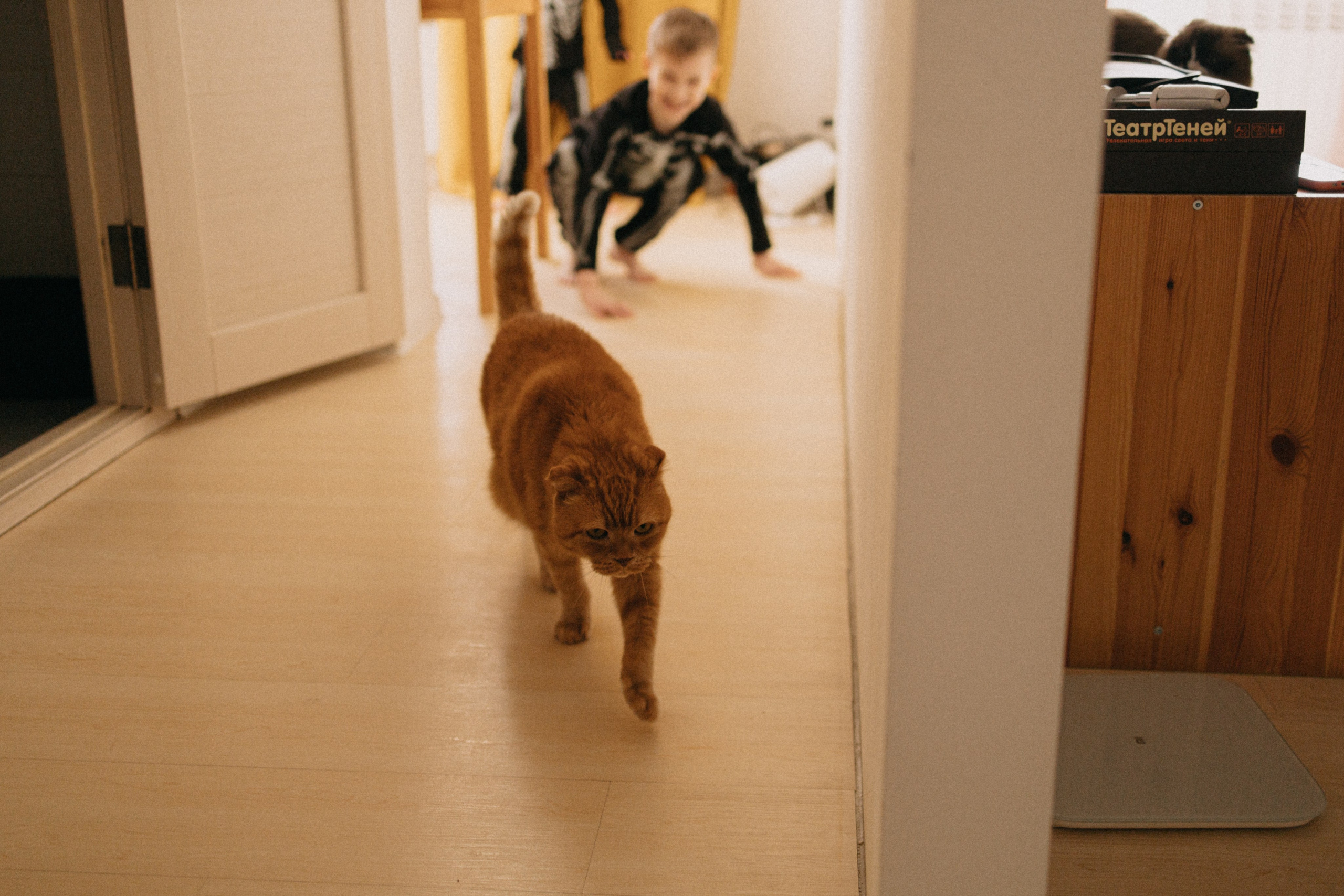 Театр теней. Фотограф Настя Леонова