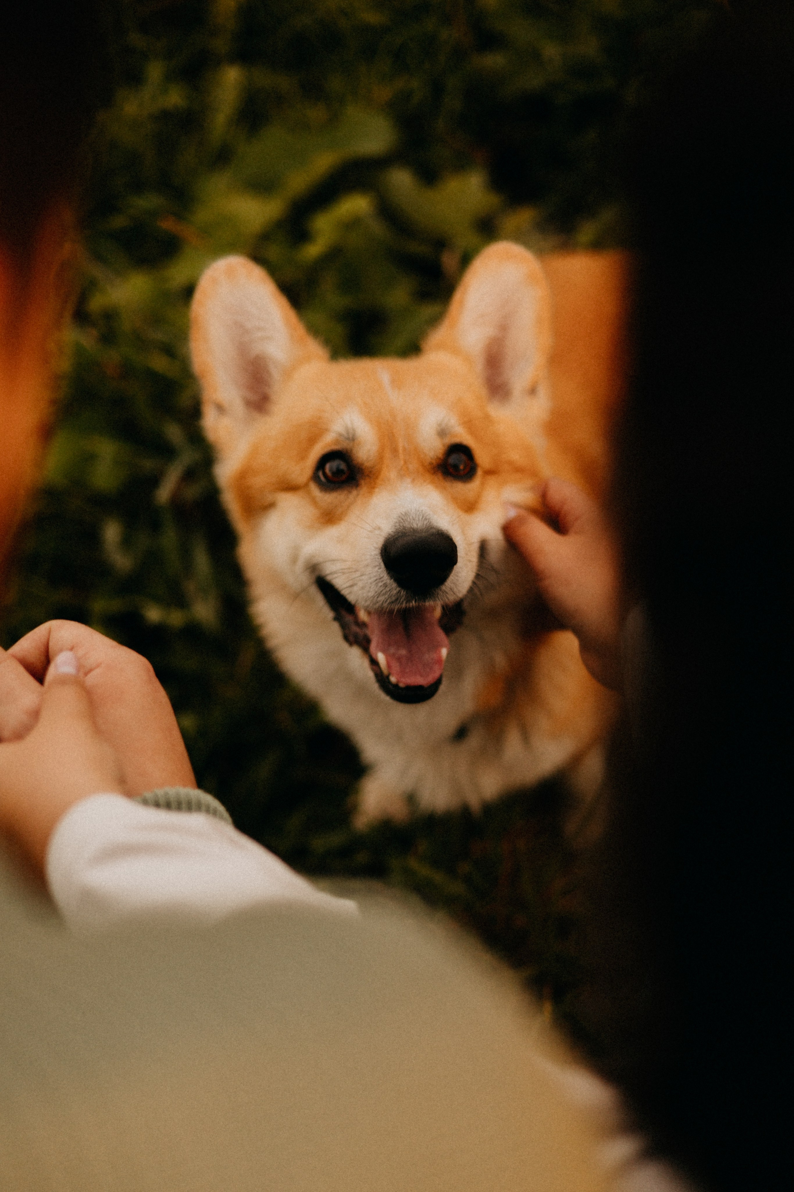 Заметили радугу?. Фотограф Настя Леонова