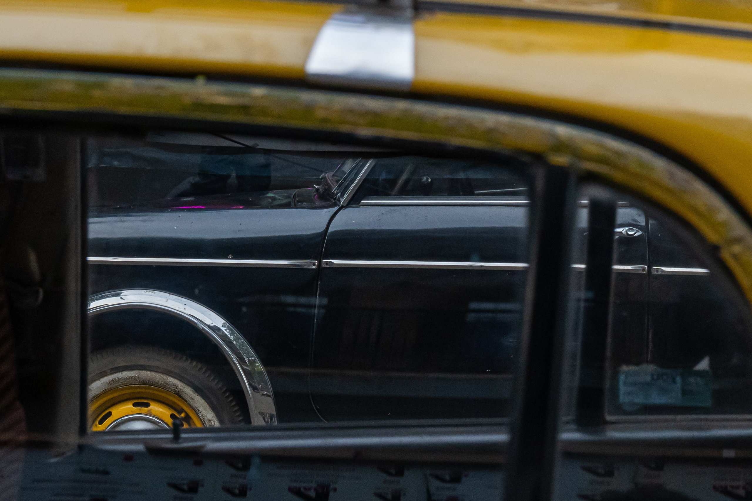 India 2024-2025. Dimitri Bakhtadze photographer