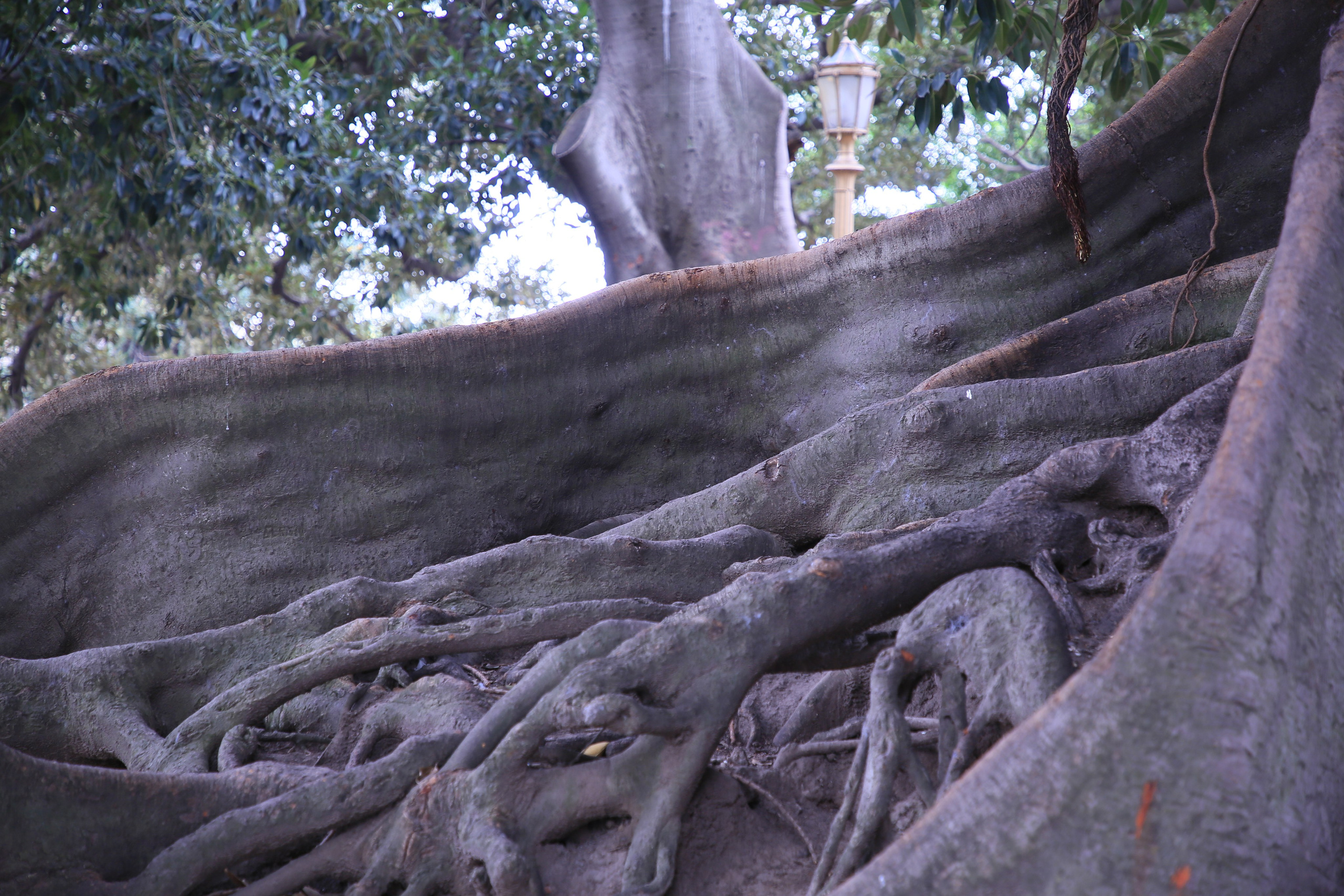 Buenos Aires, Argentina. Andrey Filippov Photographer
