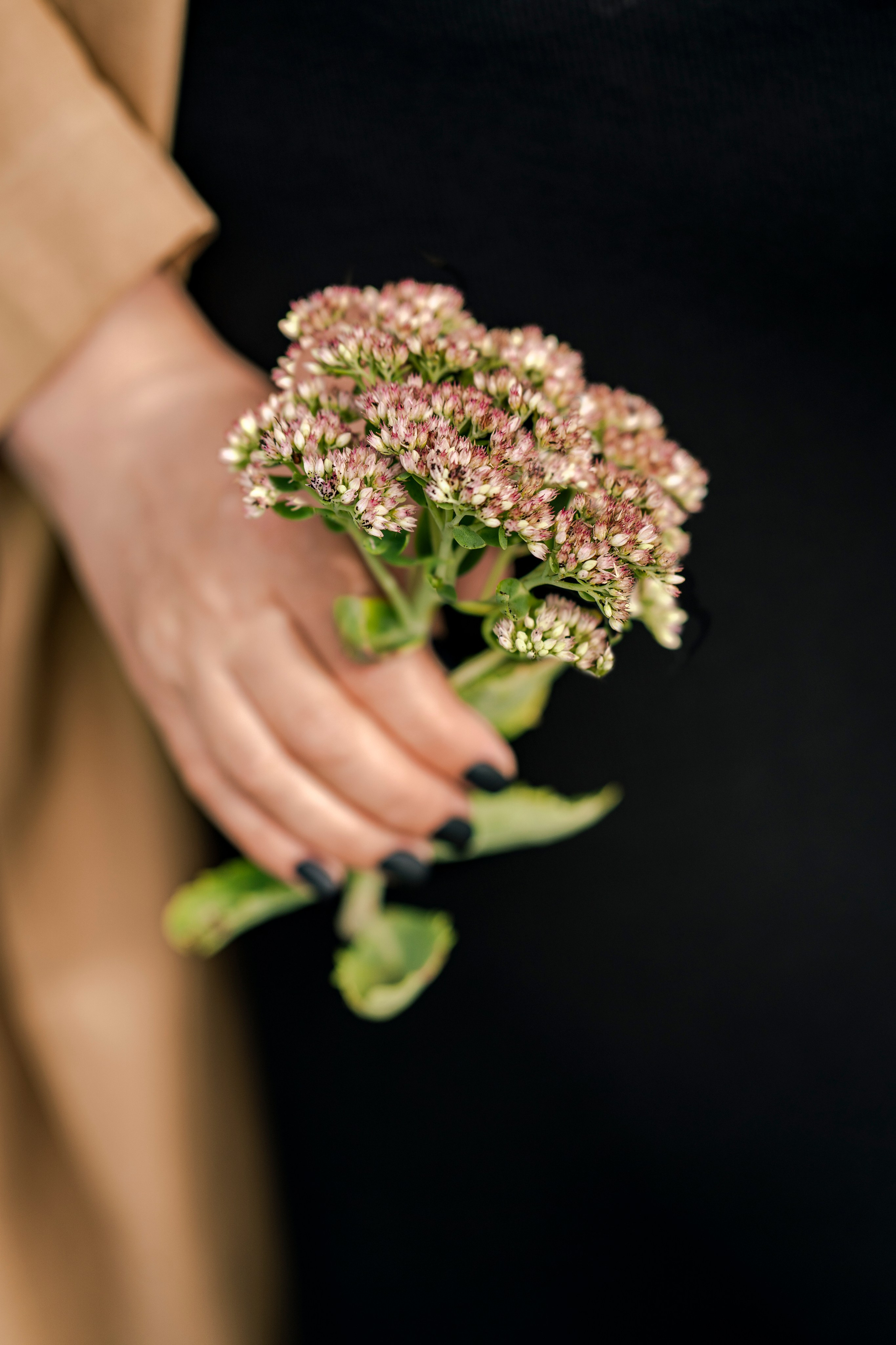 Прогулка. Le_Dlu Фотограф Елена Длужинская