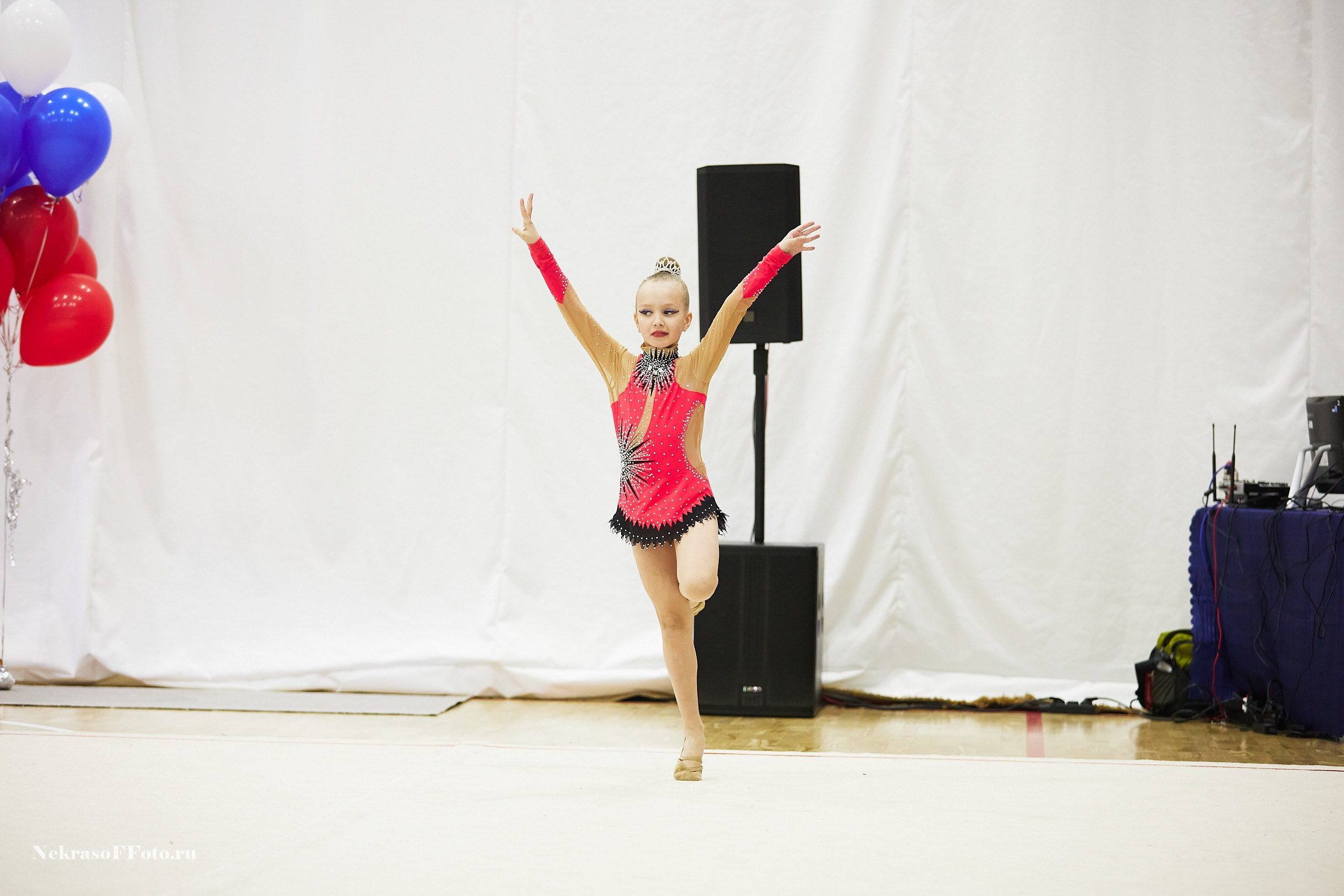 Художественная гимнастика. Спортивный фотограф Некрасов Денис