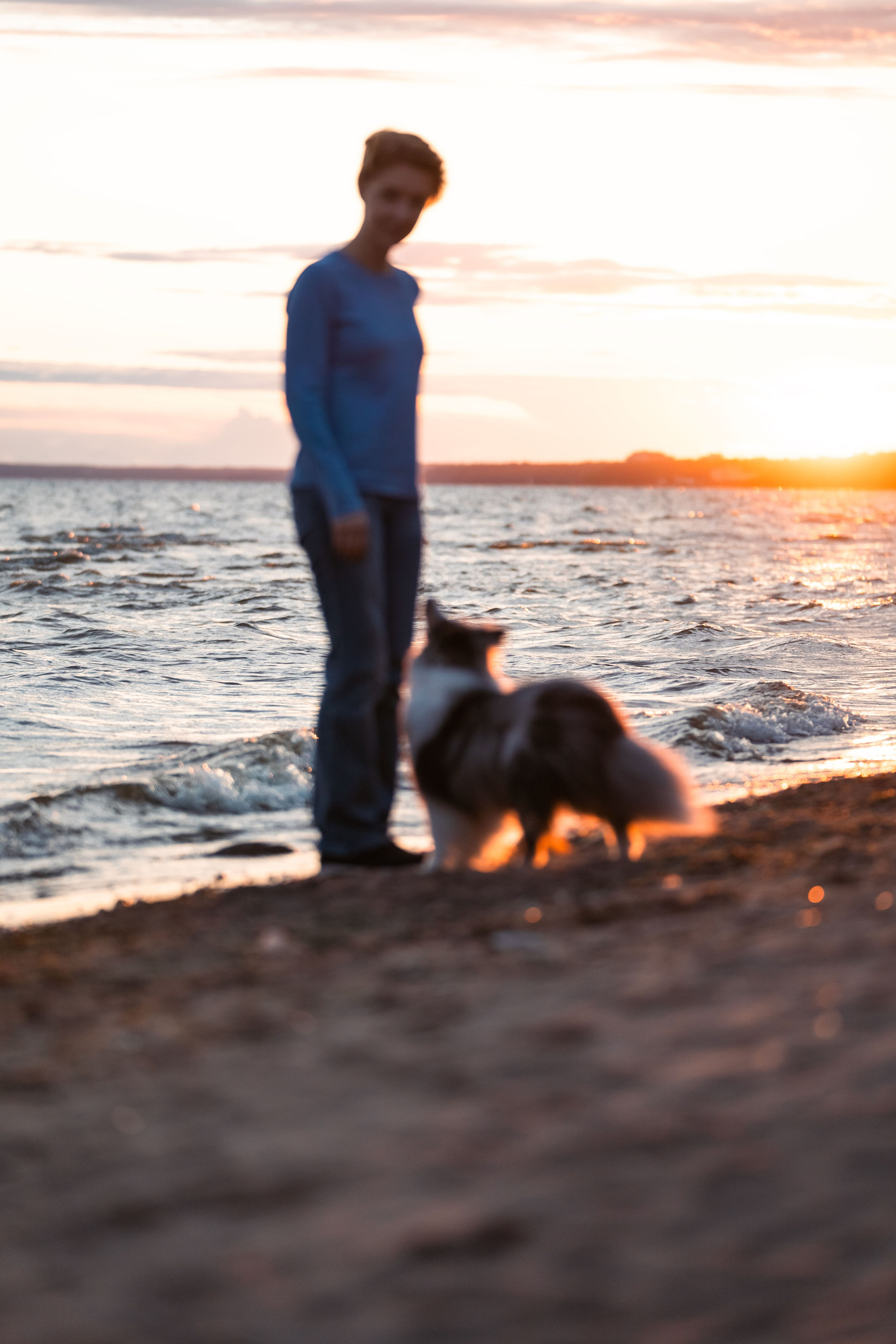 Лесная Элис. Фотограф анималист