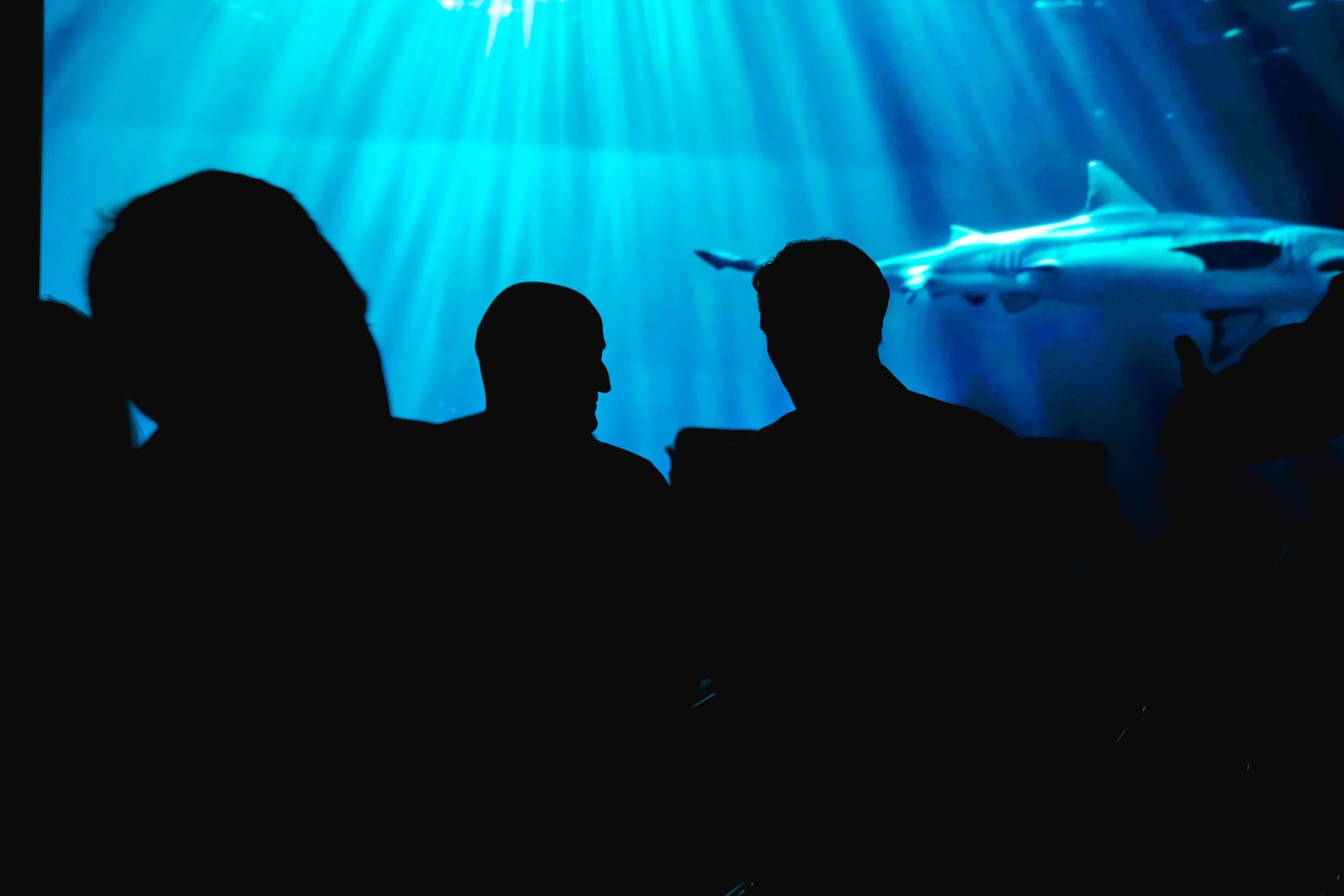 Репортажный фотограф в Москве Андрей Федоров