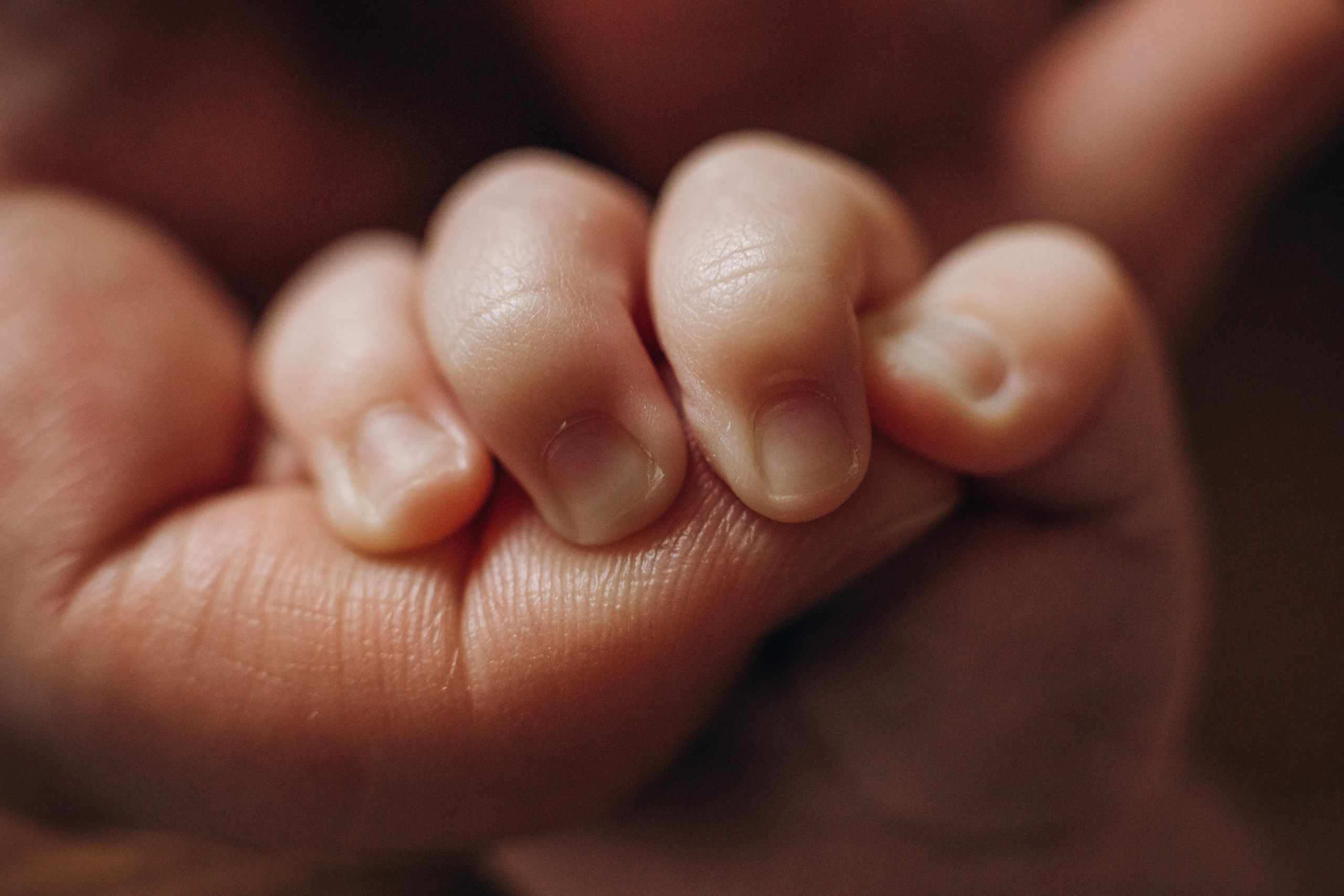 Суперсемейка. Фотограф на роды в Санкт-Петербурге Екатерина Сысоева