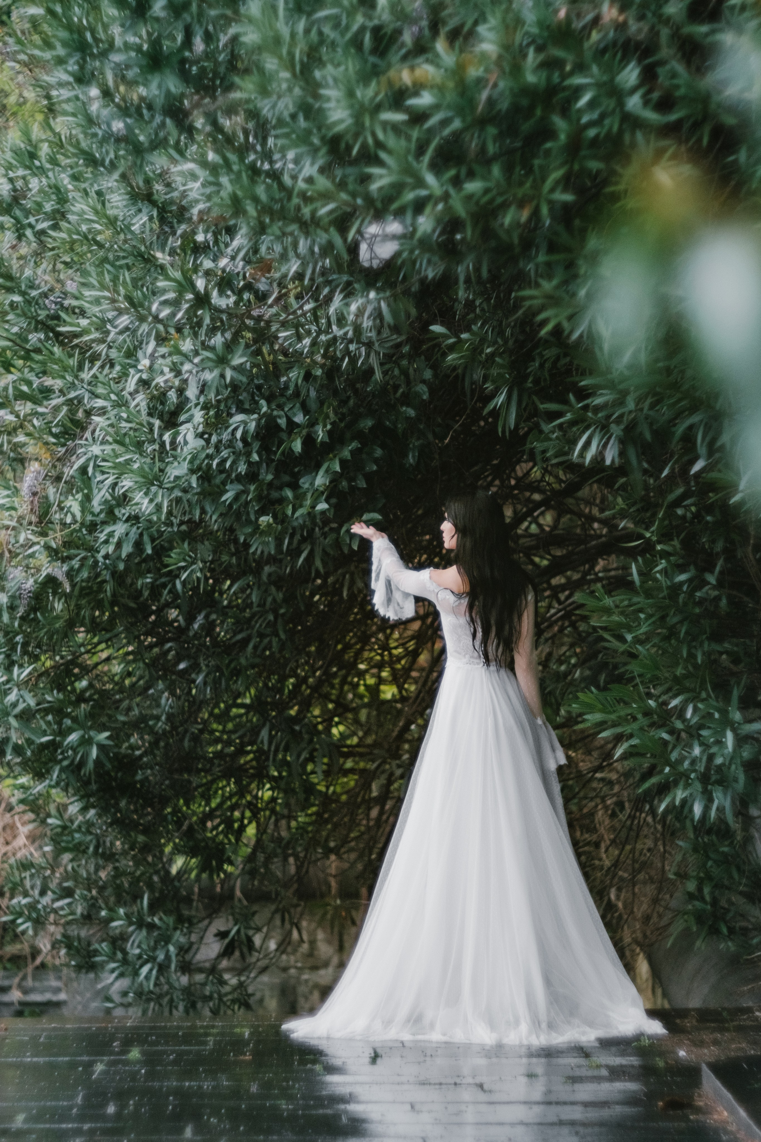 Айвори. Свадебный Видеограф Фотограф в Сочи