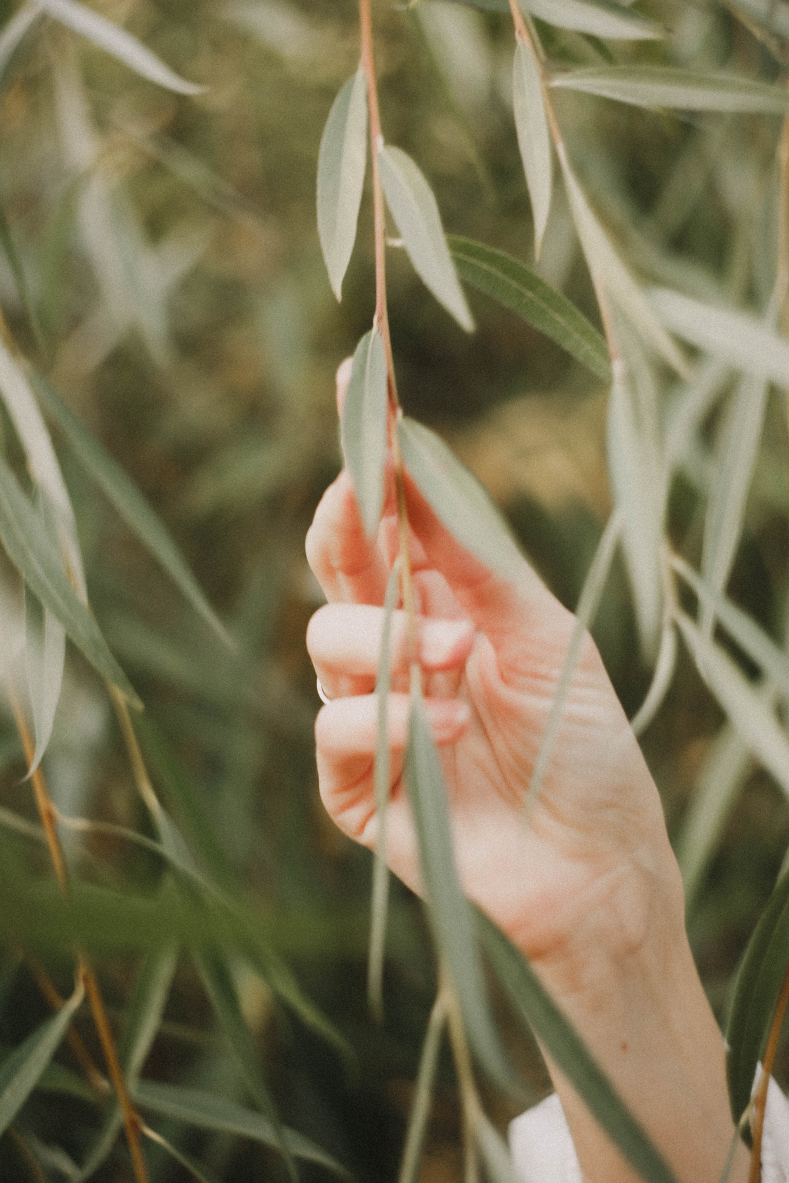 Анна на Щелчке. Осень. Фотограф в Нижнем Новгороде