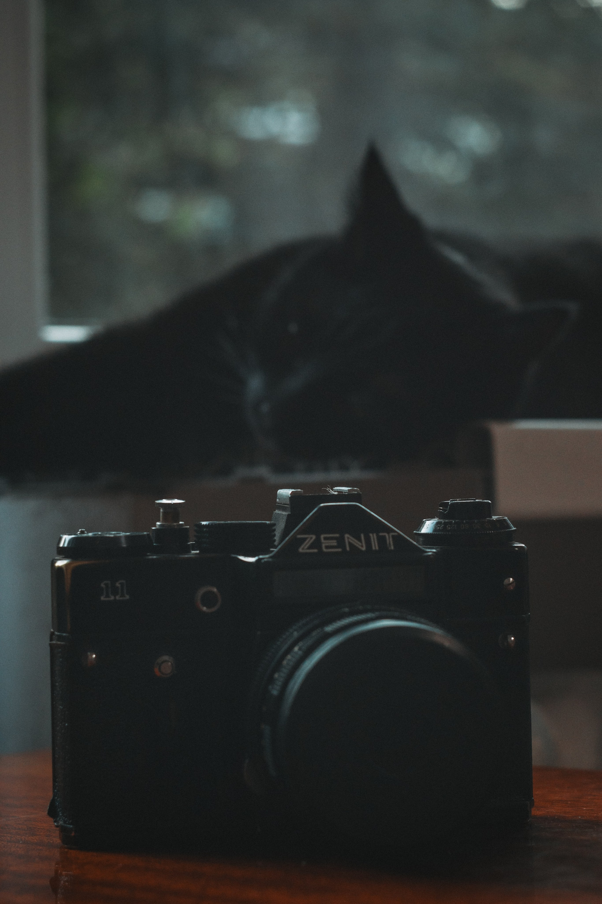 Л Ю Ц И Ф Е Р. — Digital Noise —