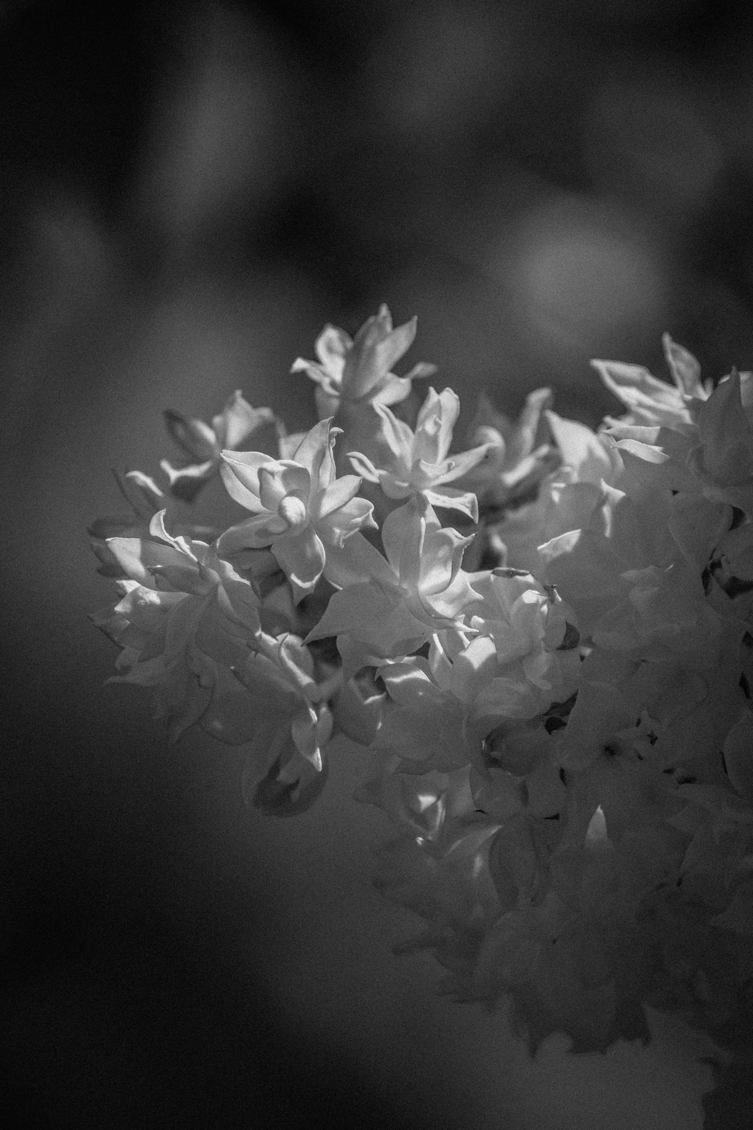 Ч \ Б. — Digital Noise —