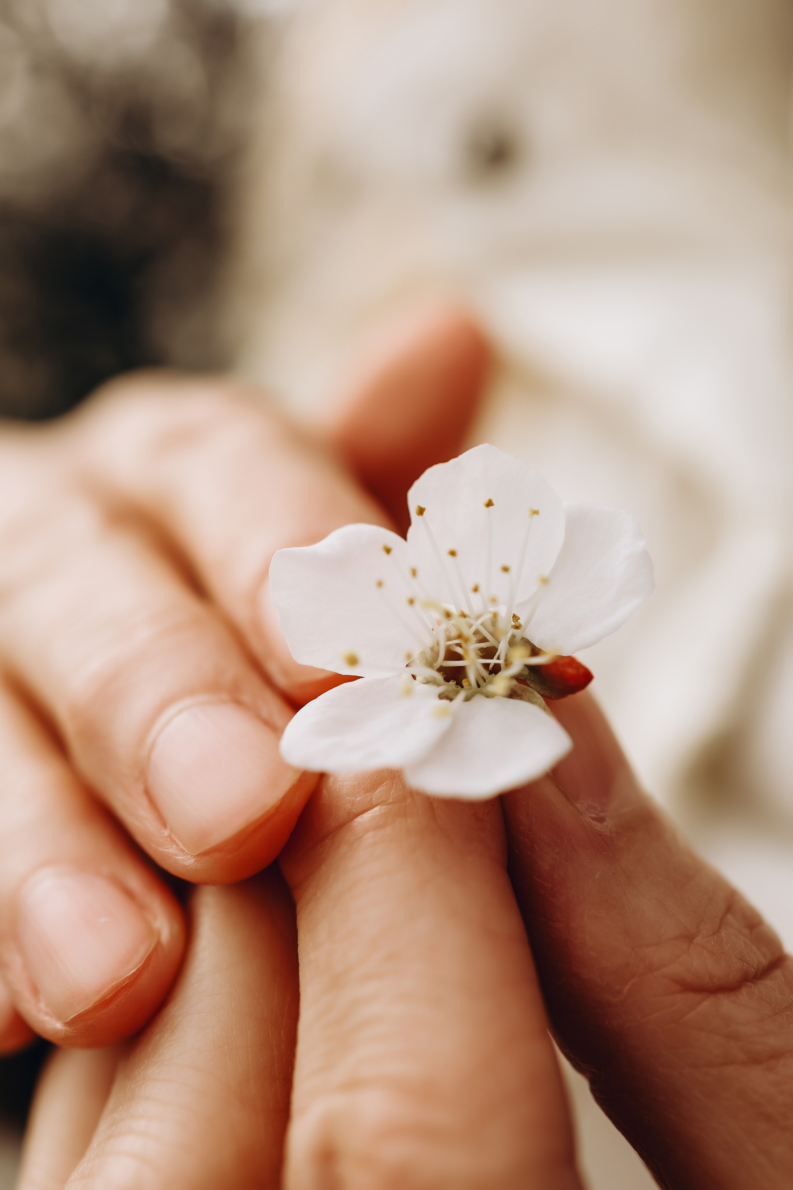 Снежана. Свадебный и семейный фотограф в Воронеже Ксения Воротникова