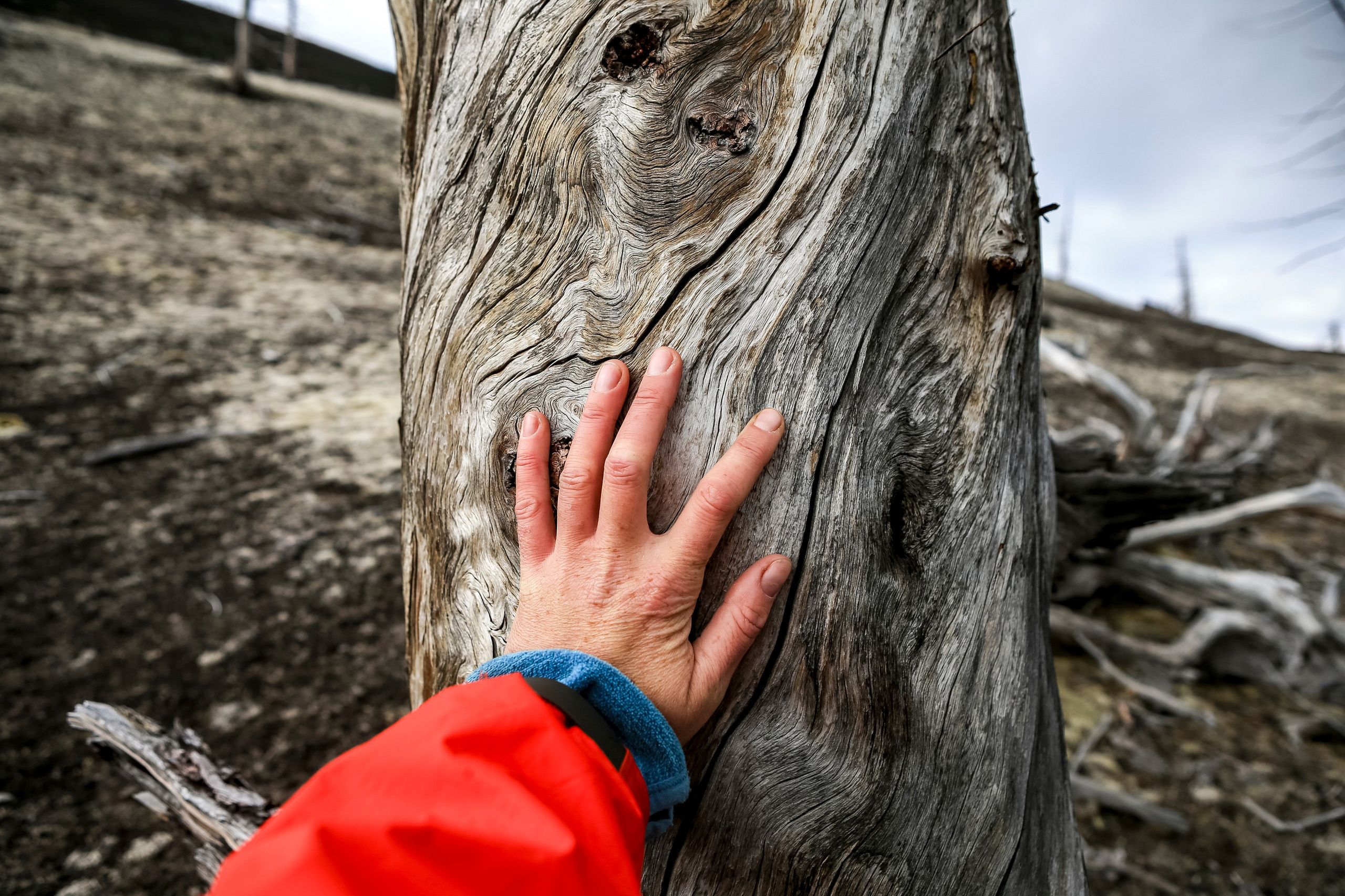 Фототур на Толбачик — марсианские ландшафты Камчатки. Время Камчатки: чтобы найти свой путь, нужно скорость умножить на время