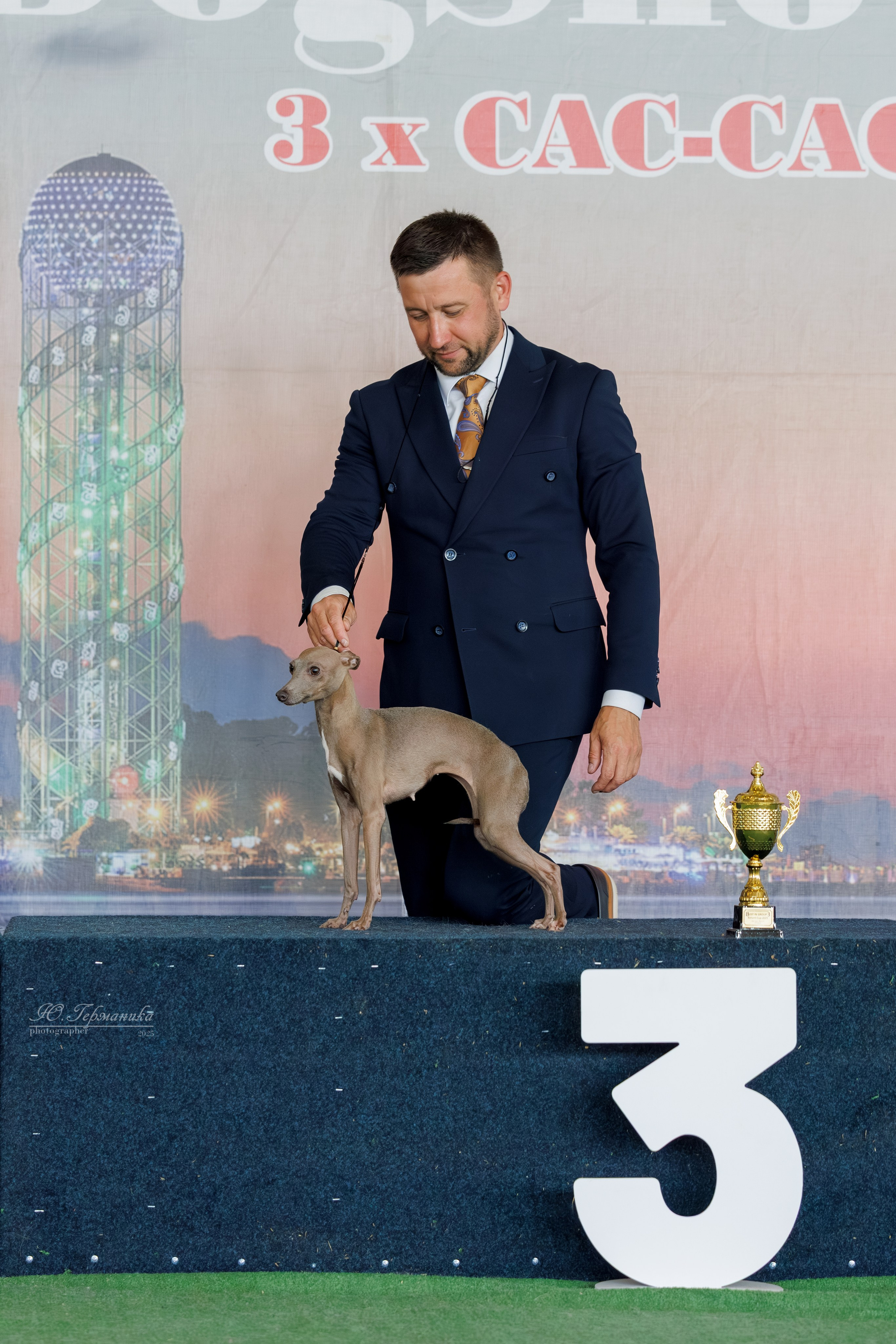 Батуми 3хCACIB 27-29.06.2025. Фотограф-анималист Юлия Германика