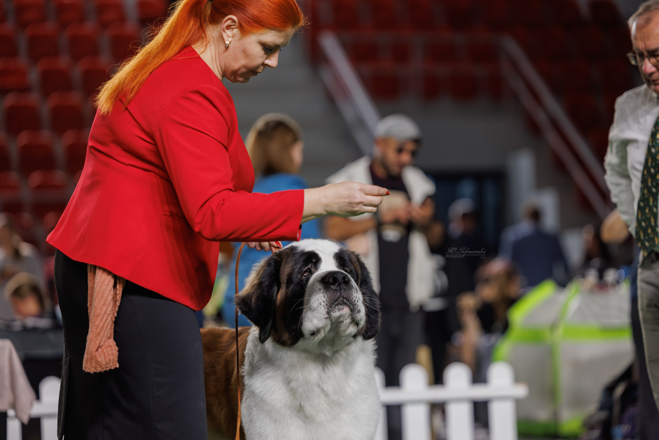 Телави 11-12.10.2025. Фотограф-анималист Юлия Германика