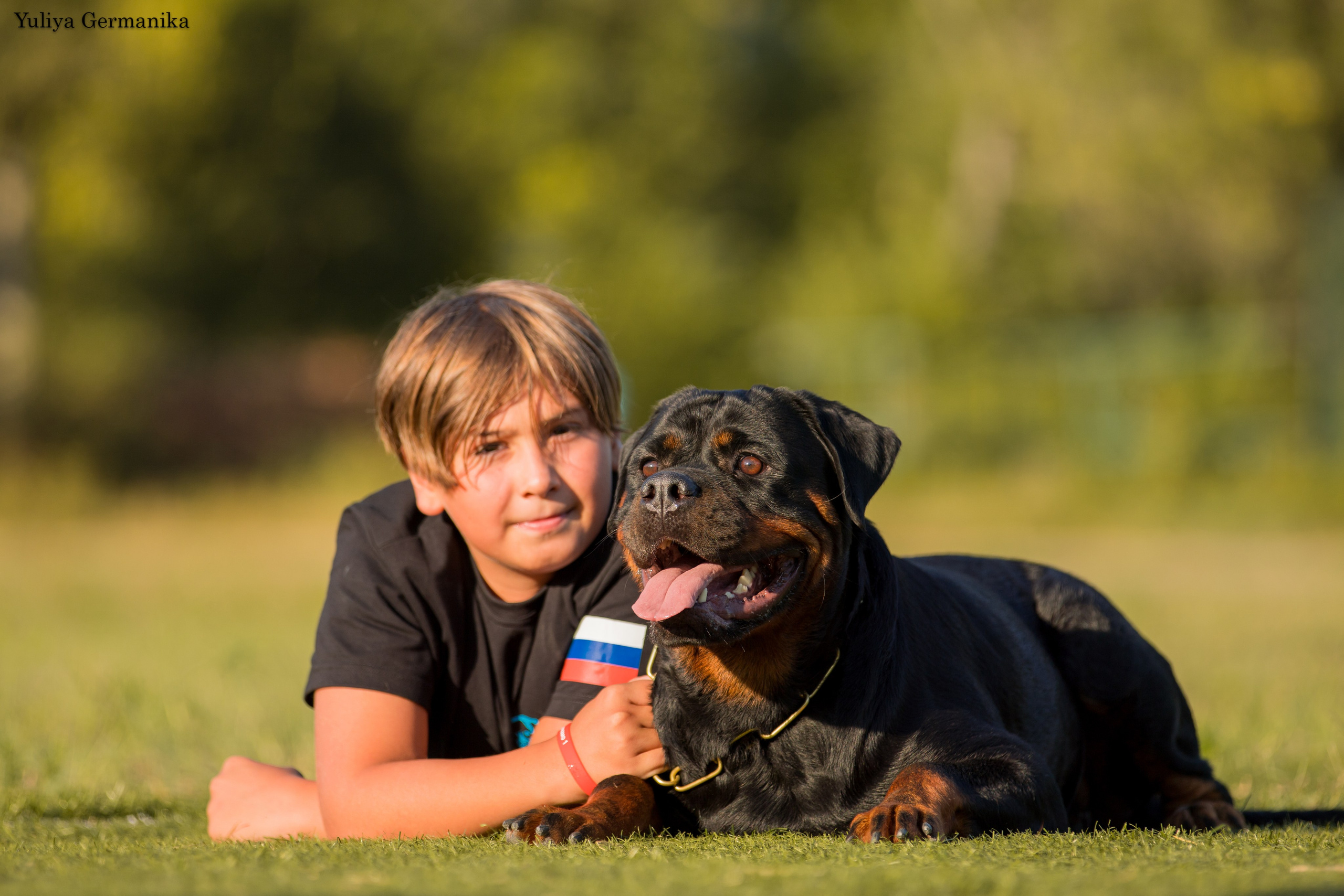 Анапа 16-17.09.2023 моно ротвейлеров. Фотограф-анималист Юлия Германика