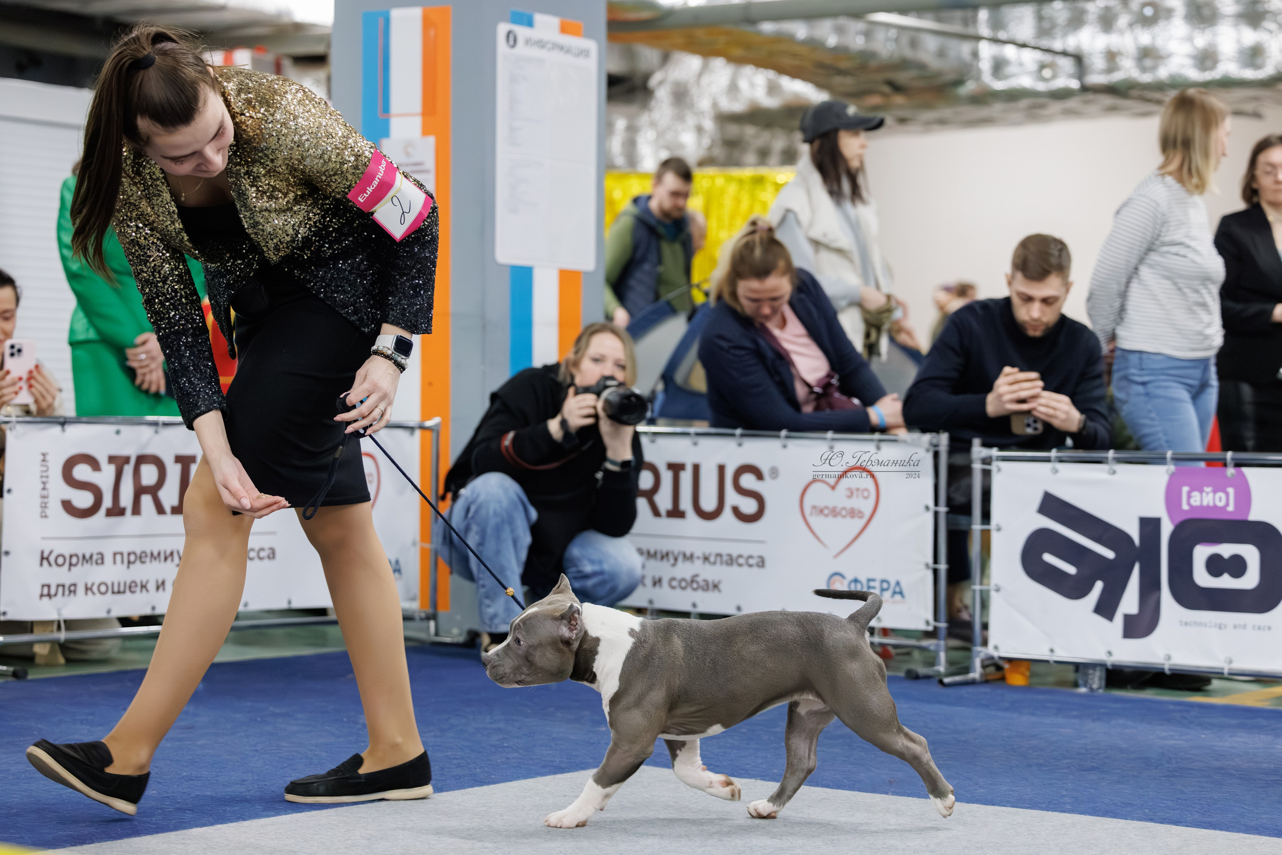 Сфера и Крокус 8,9,16 и 30.03.2025. Фотограф-анималист Юлия Германика