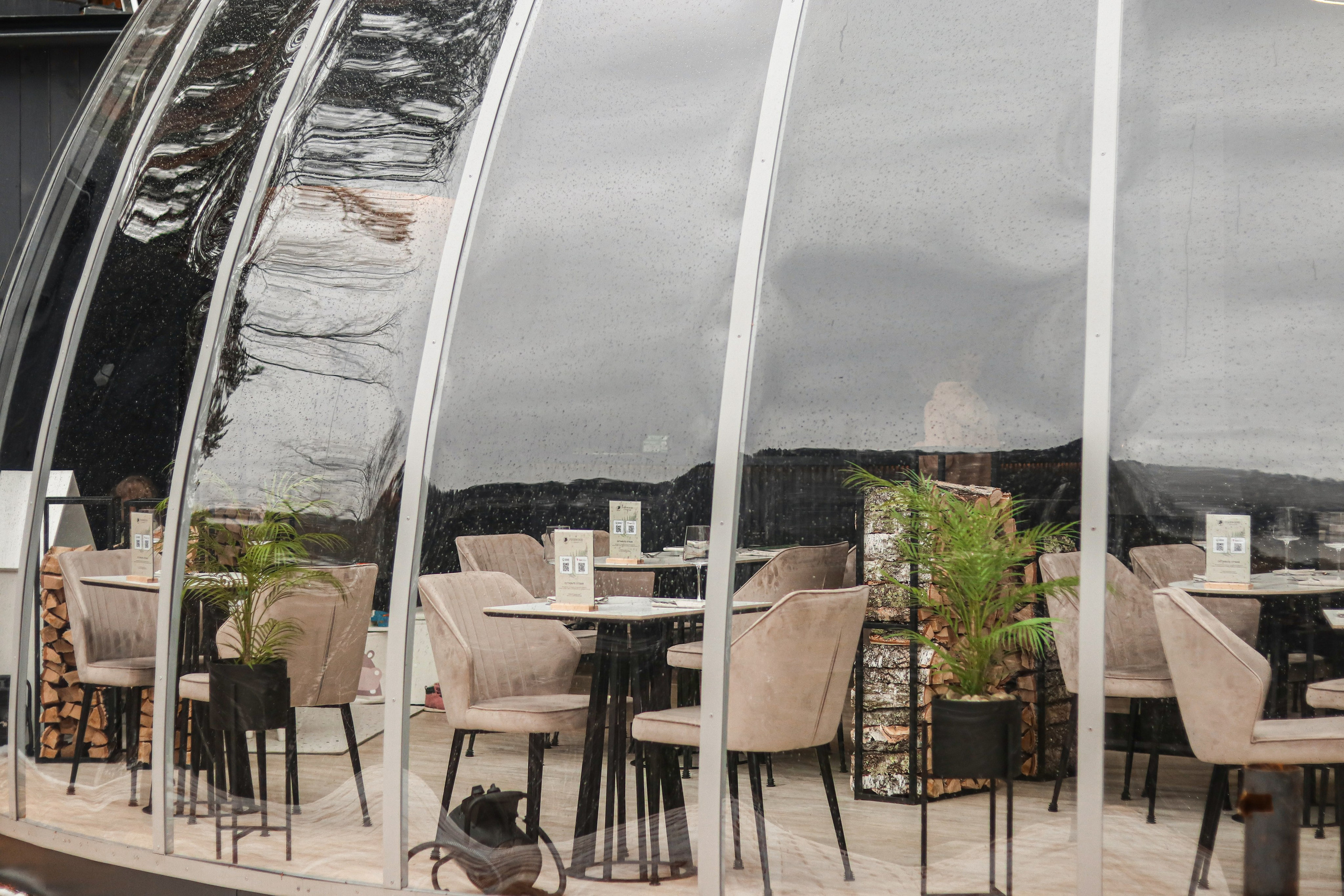 «Pinewood» ресторан, респ. Алтай. Контент фотограф Дмитрий Борисов