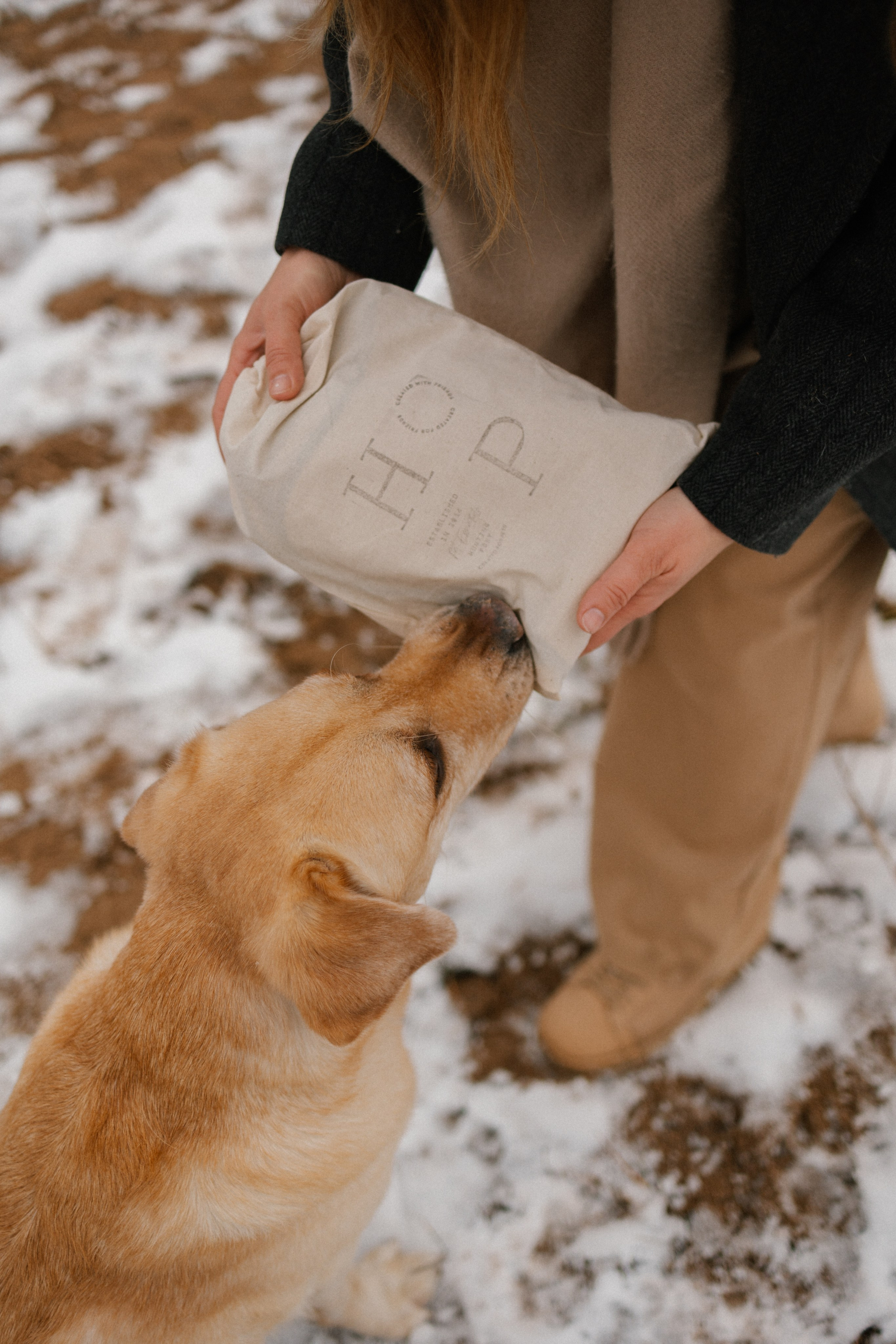 Ирина и Бася. Фотограф — Анималист | Санкт-Петербург