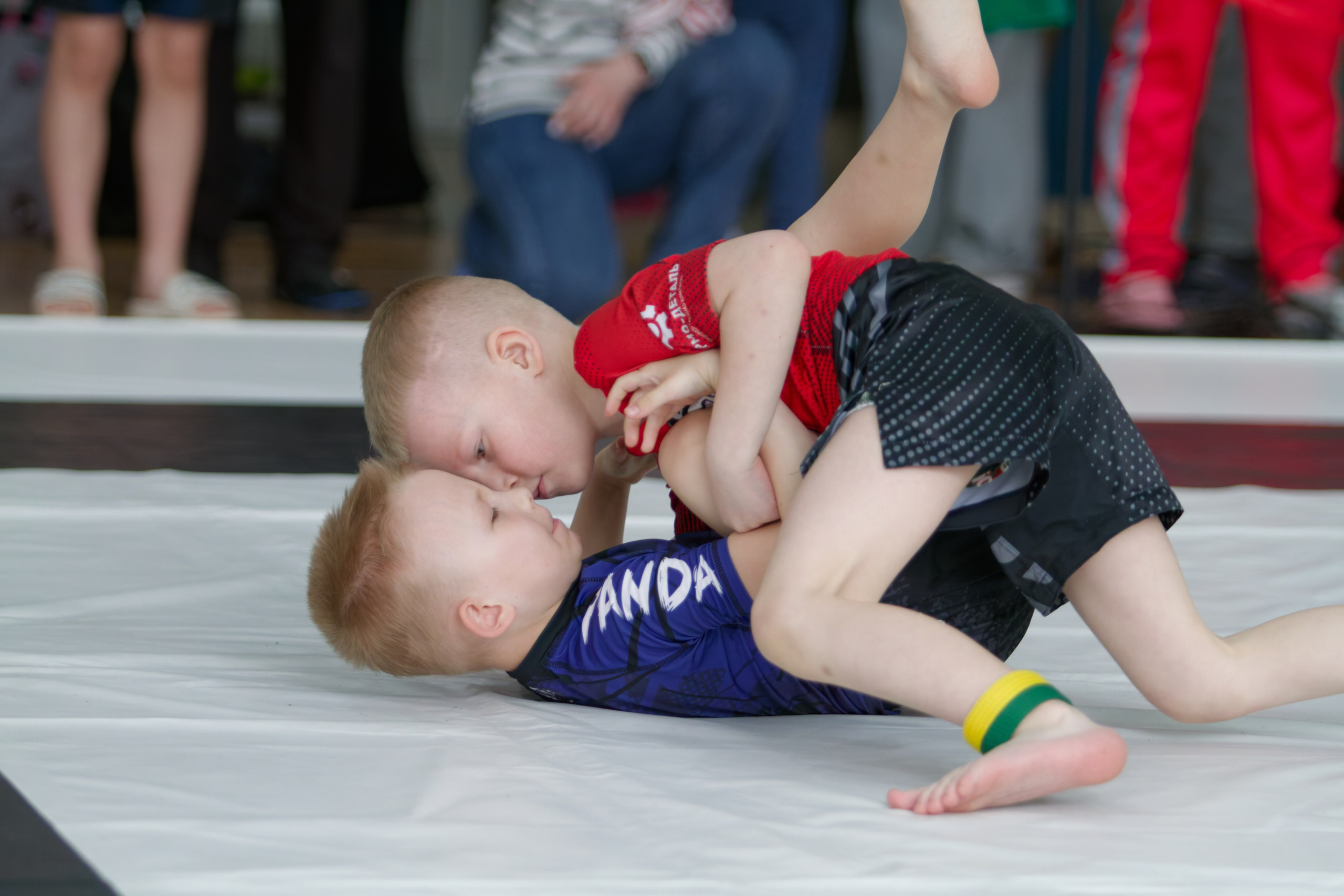 Борьба. Джиу-джитсу 26.04.2025. Репортажный и спортивный фотограф в г. Пермь Зильберг Павел