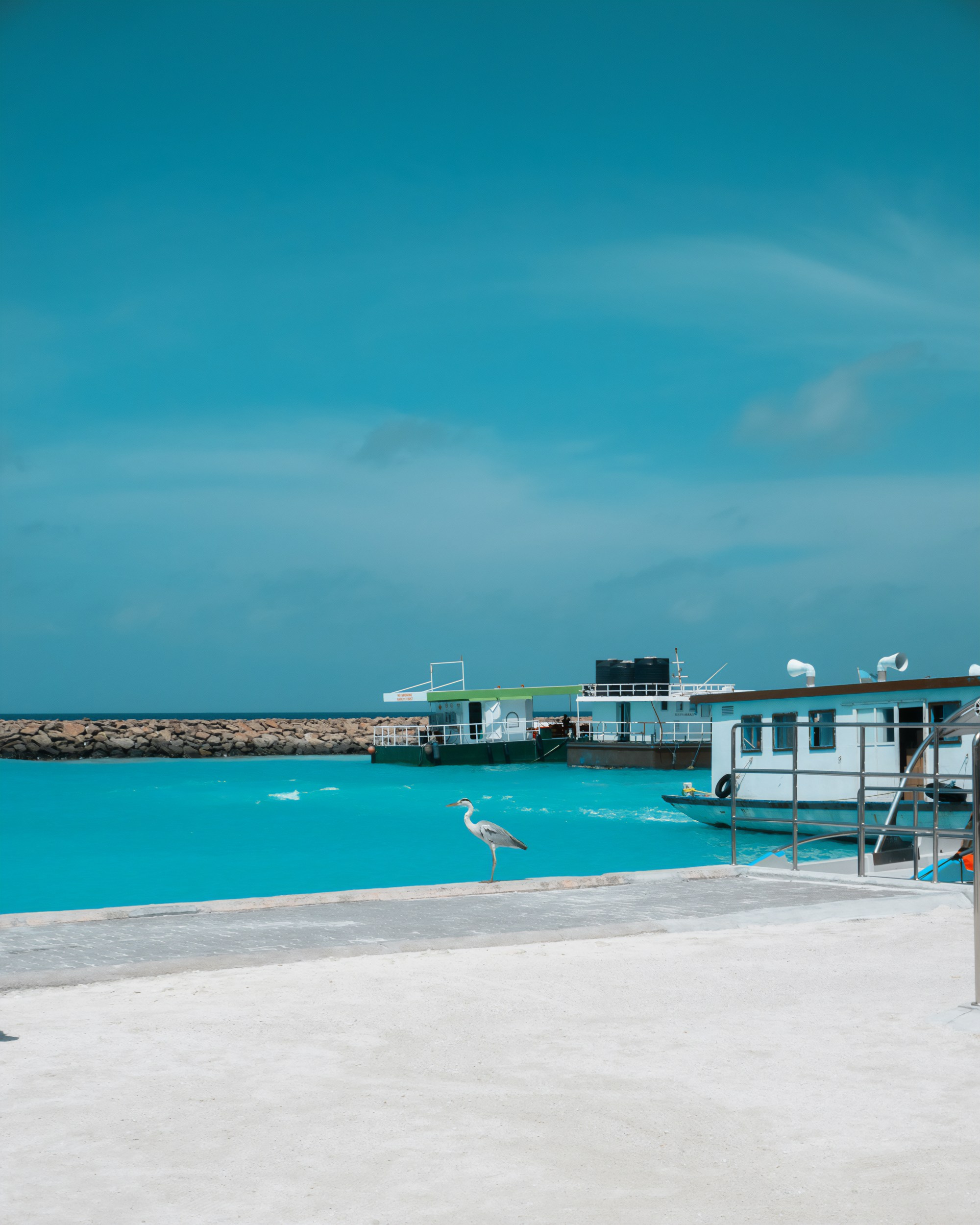 Ktokuda. Фотограф в Хабаровске. Фотография за 24 часа